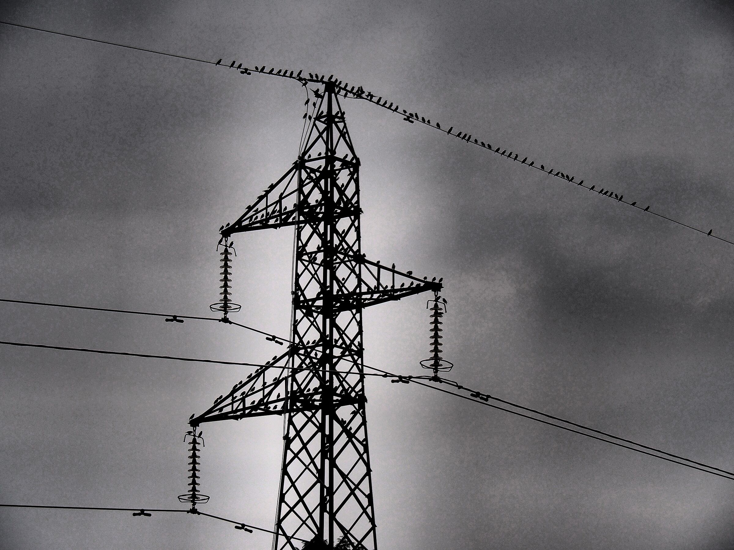 compagnia eletrizzante