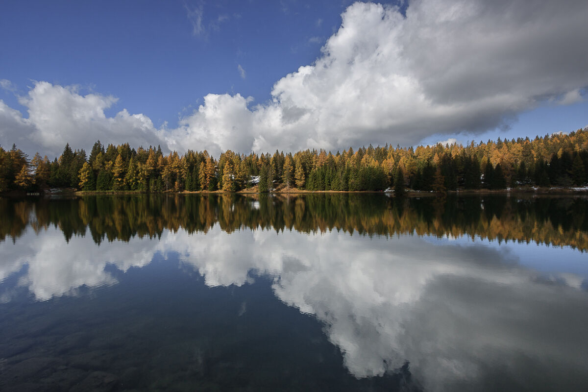 The colors of Tret ...