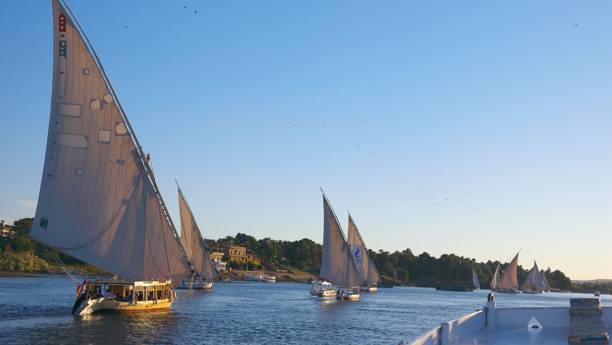 Felucca on the Nile
