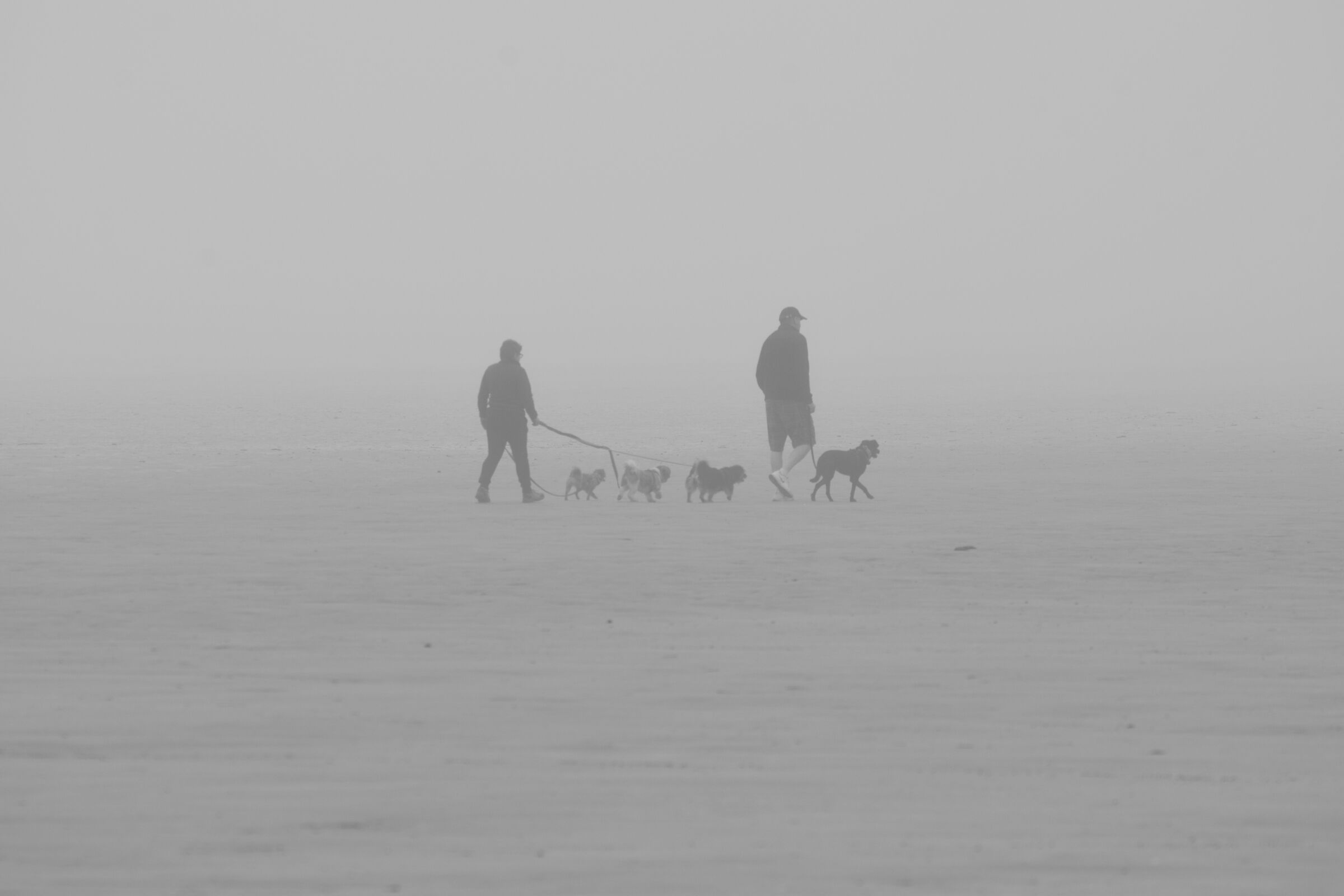 Two with.... (quadricane)