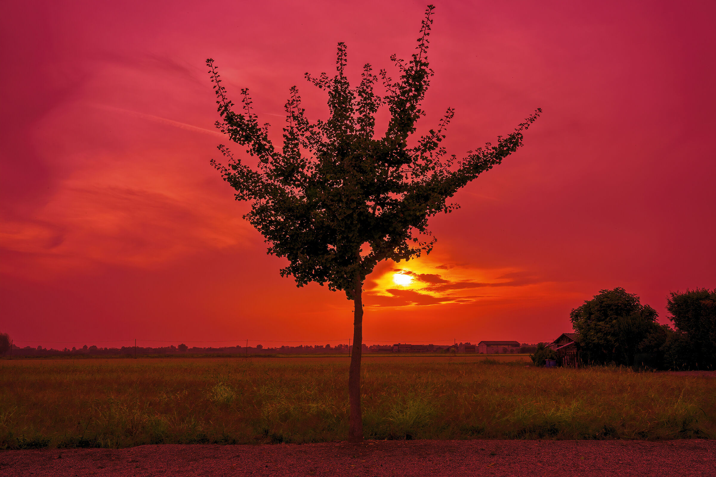 Rosso di sera..............