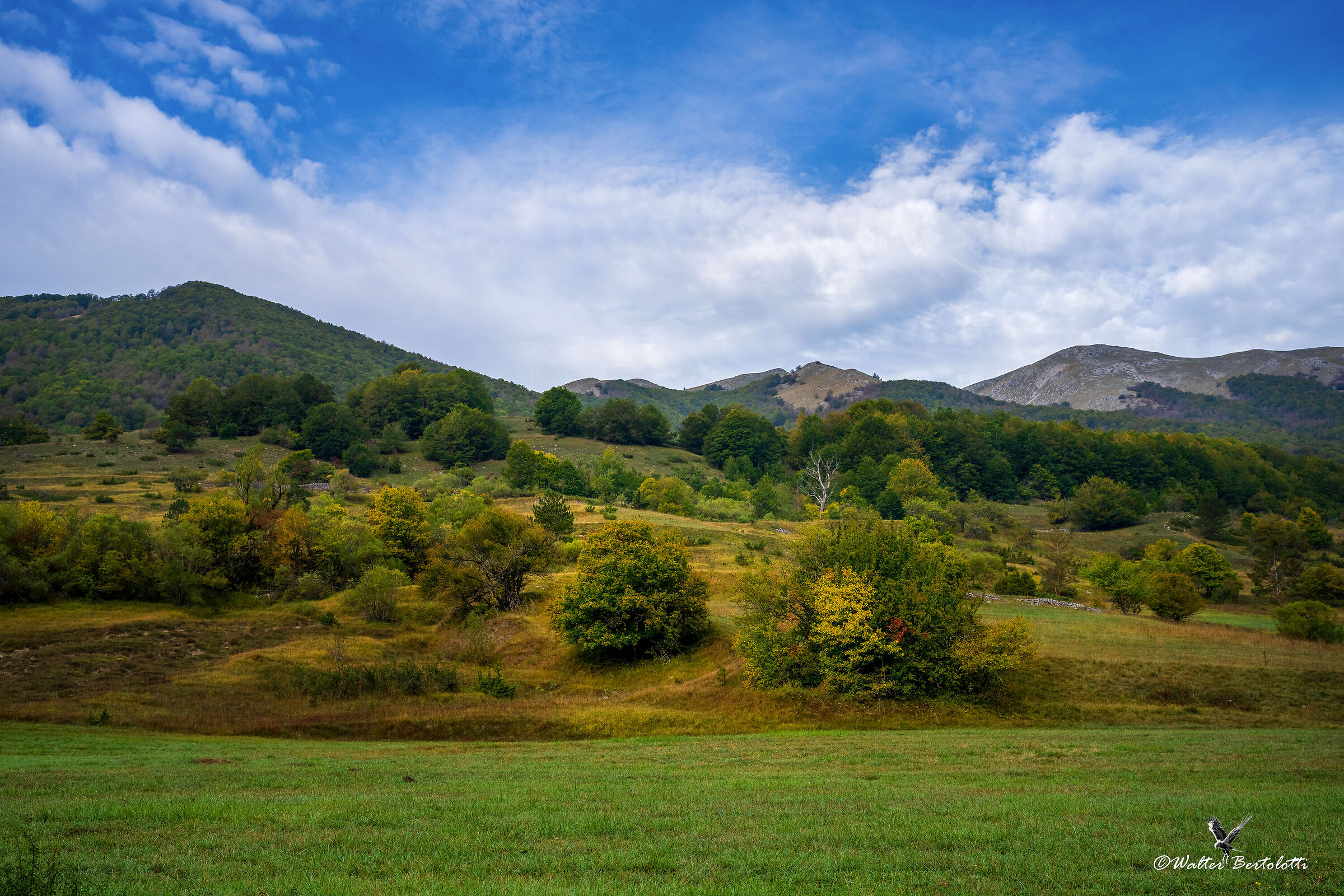 glimpses of Abruzzo