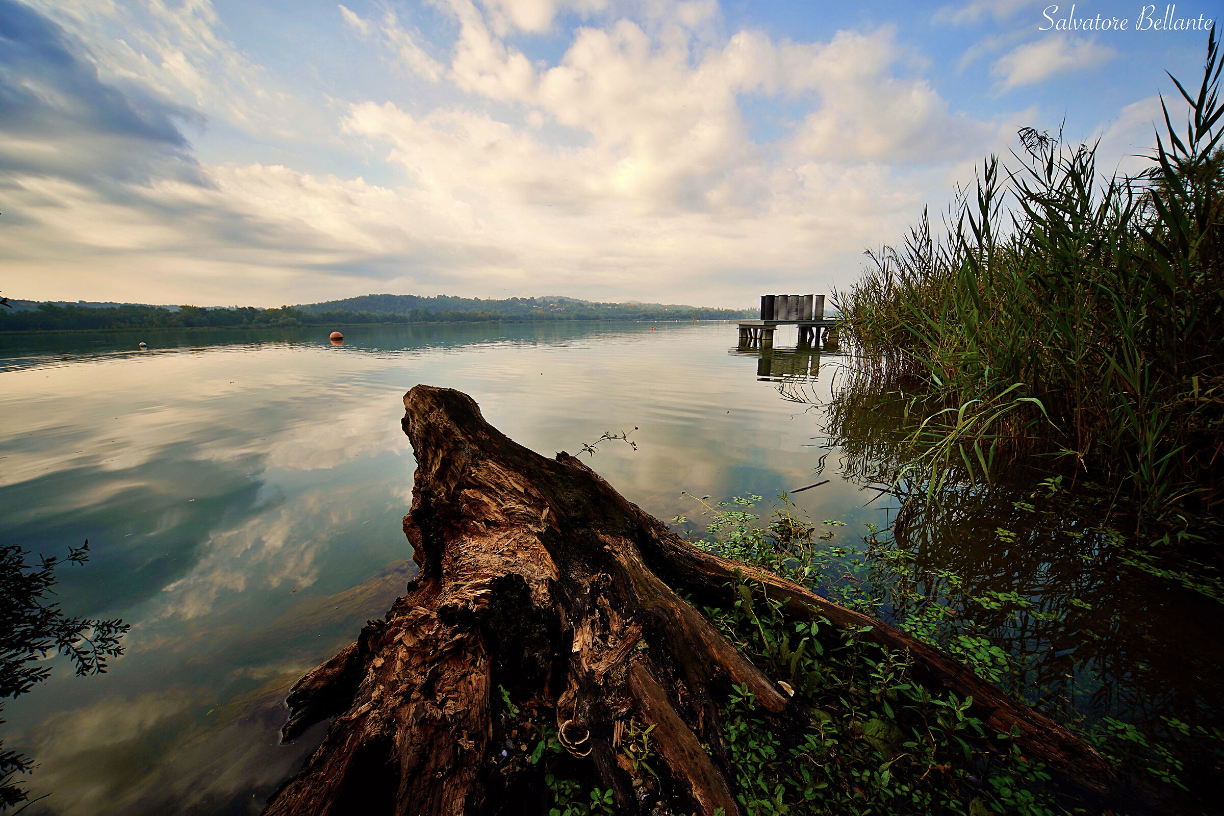 Lago di Varese.
