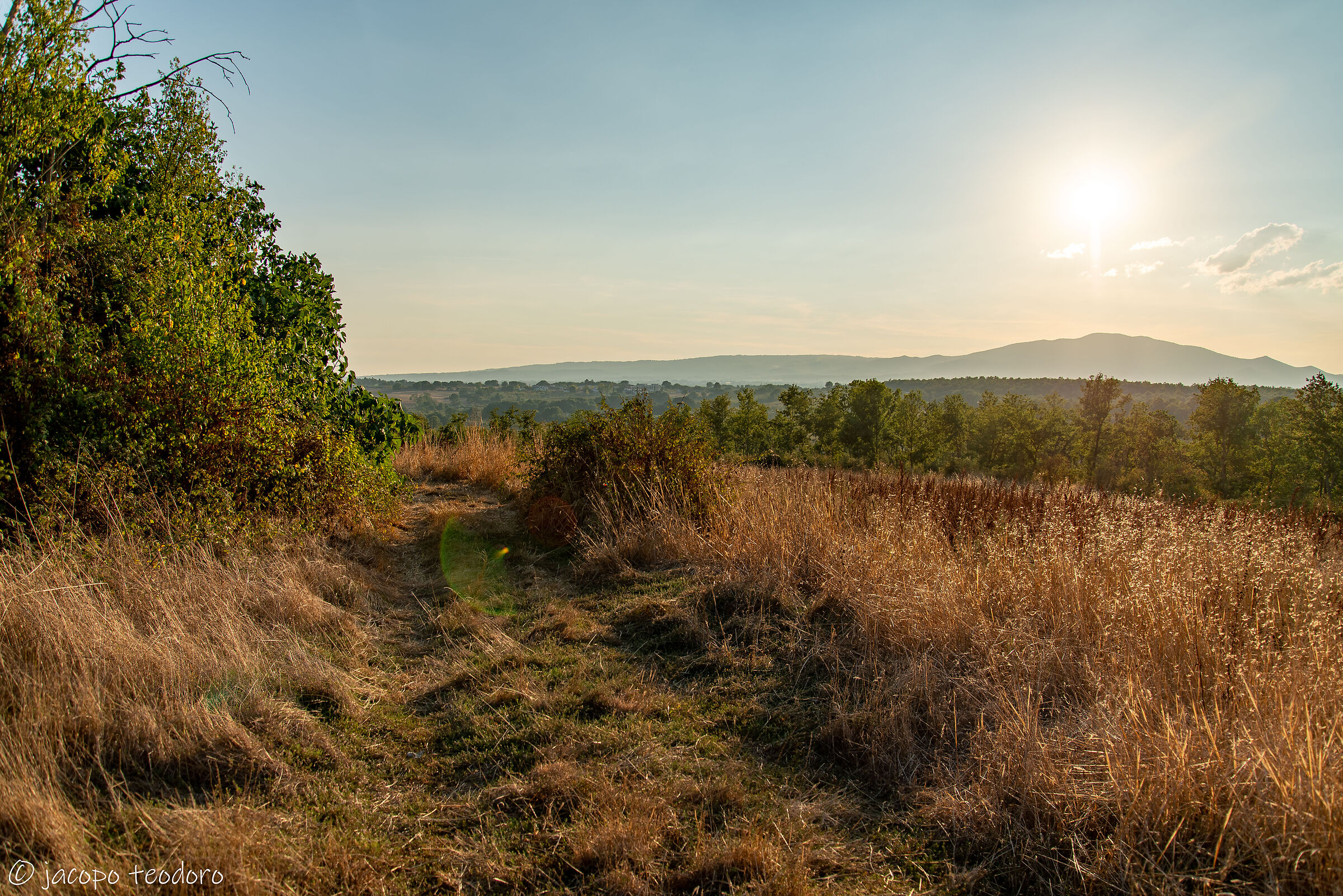 A spasso nella natura