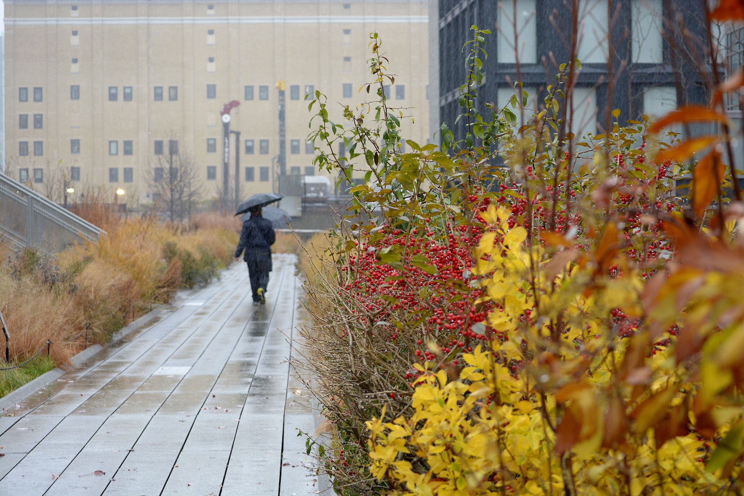 The Highline