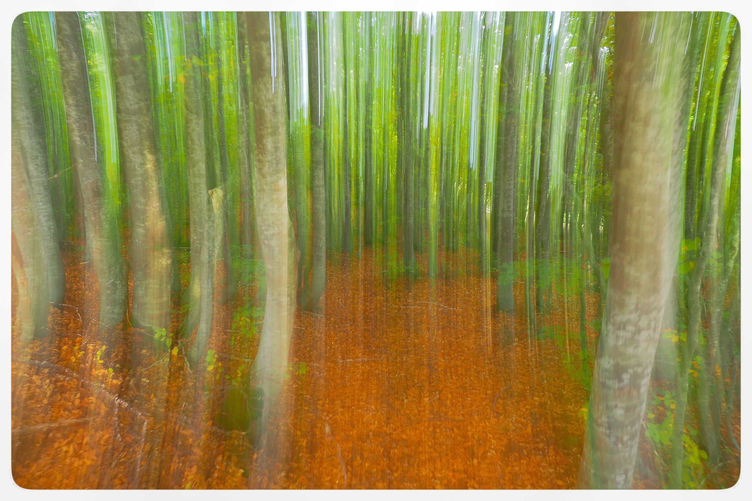 Perdersi per ritrovarsi