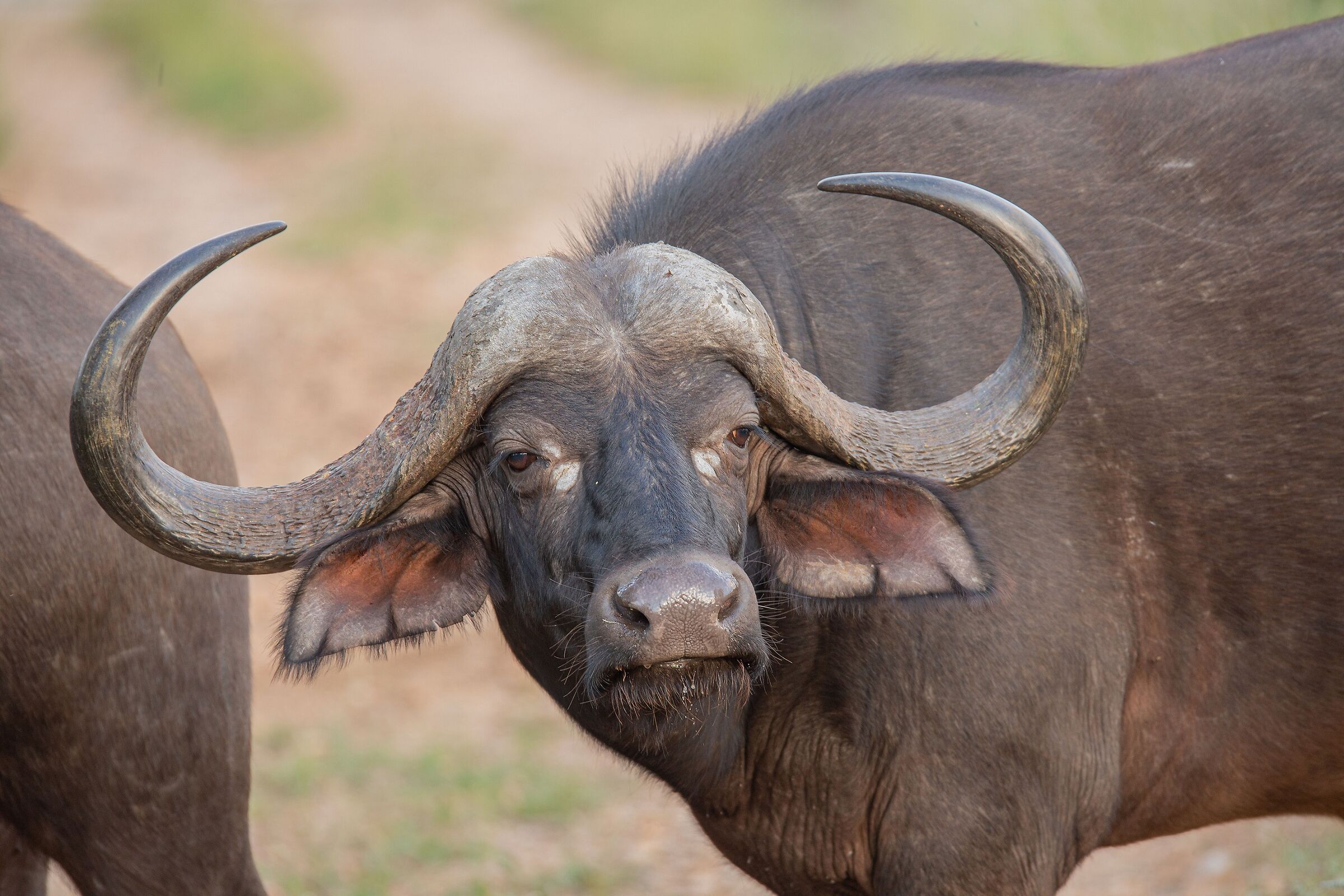 Perfetta geometria...