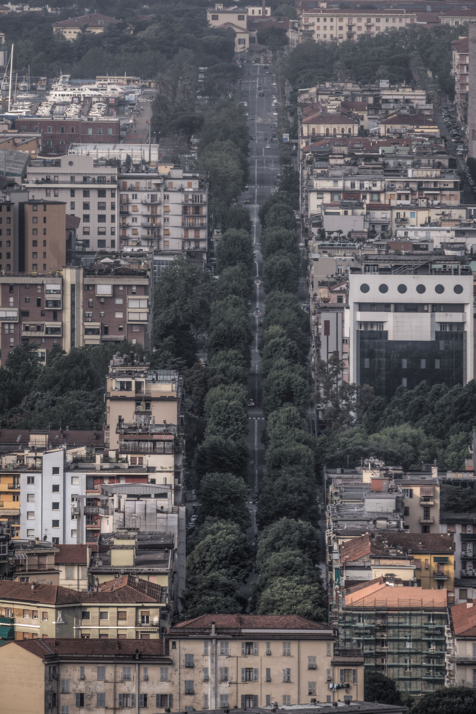 Viale Italia