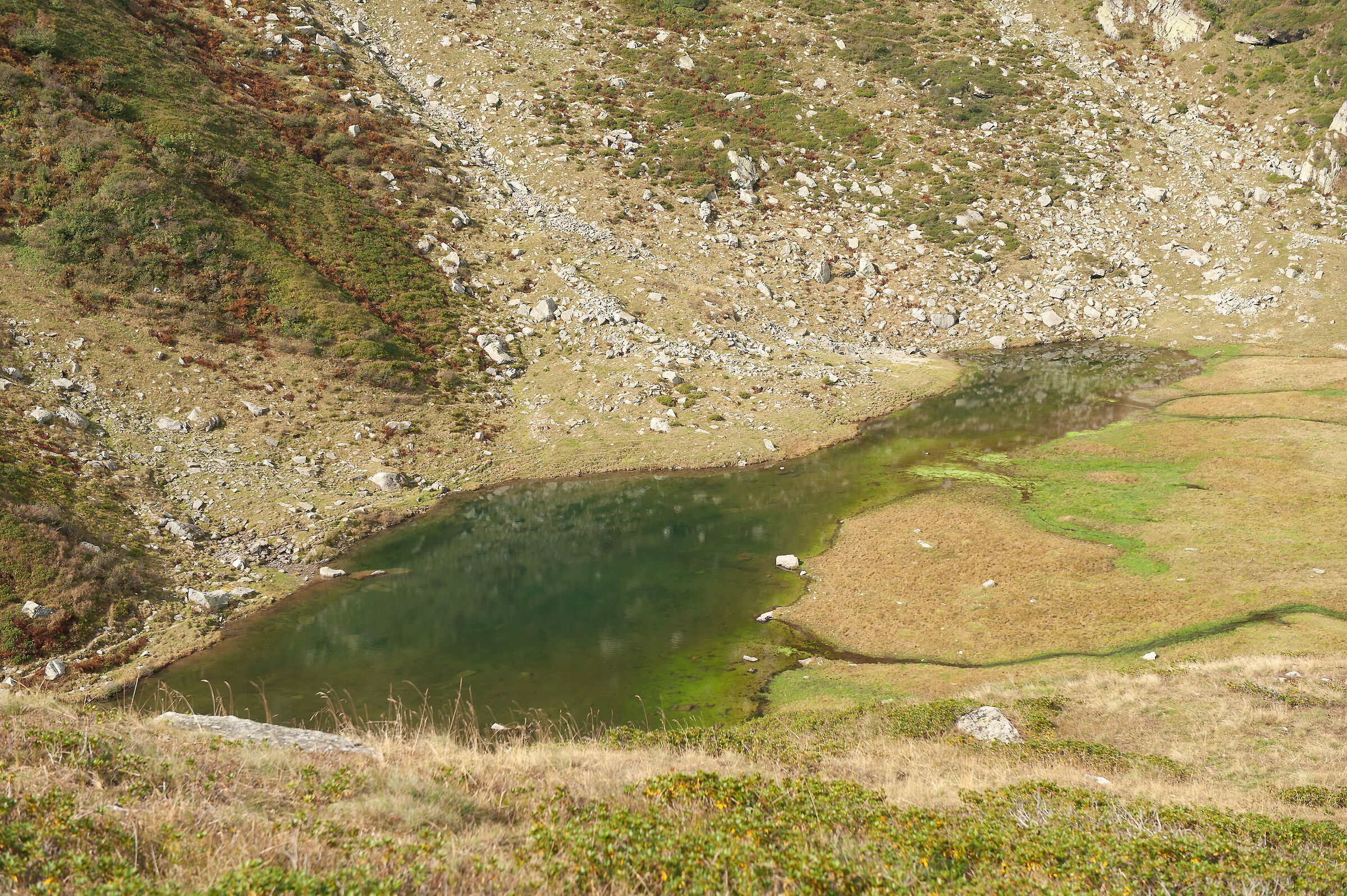 Baranca Val Mastallone