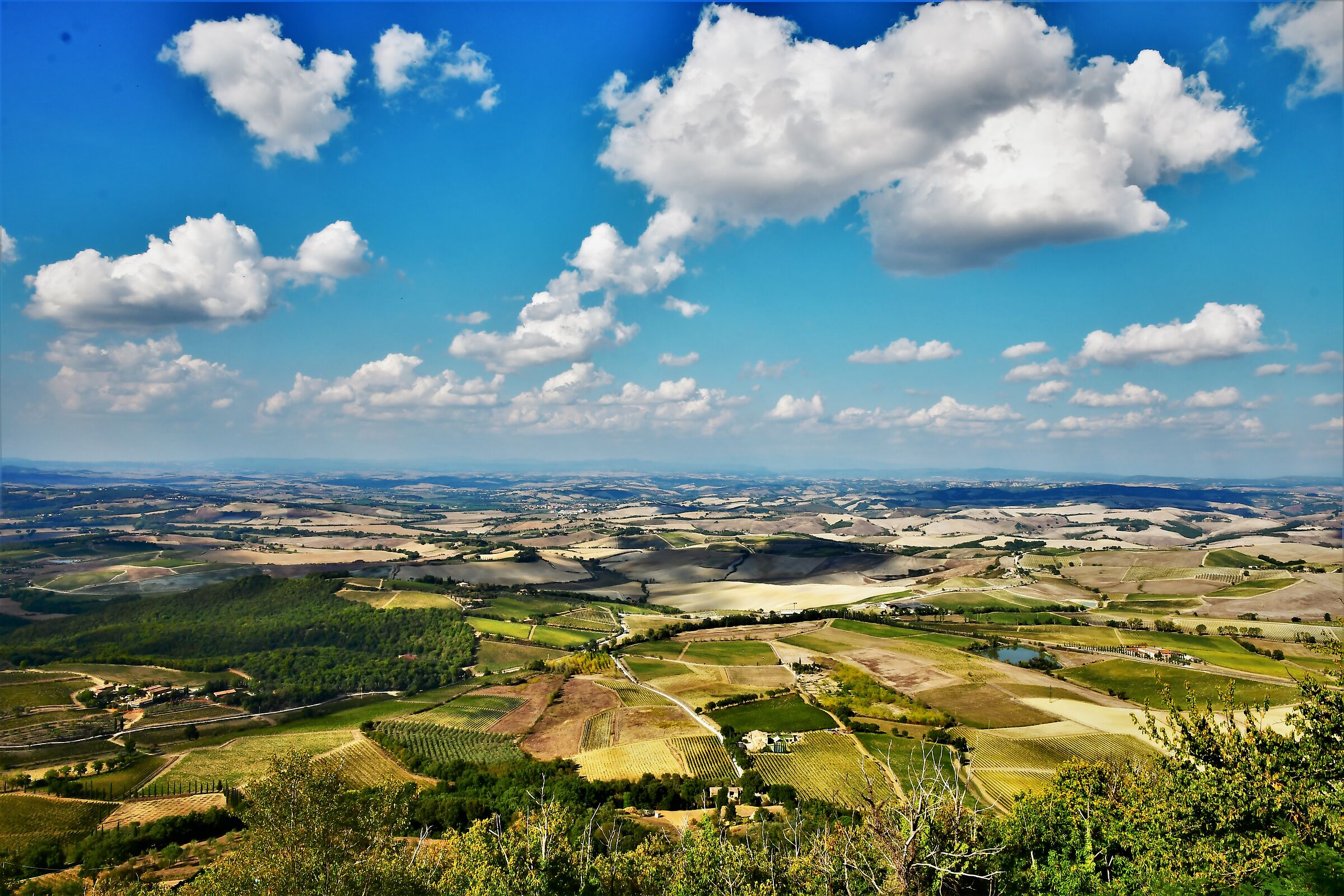 the belvedere da montalcino