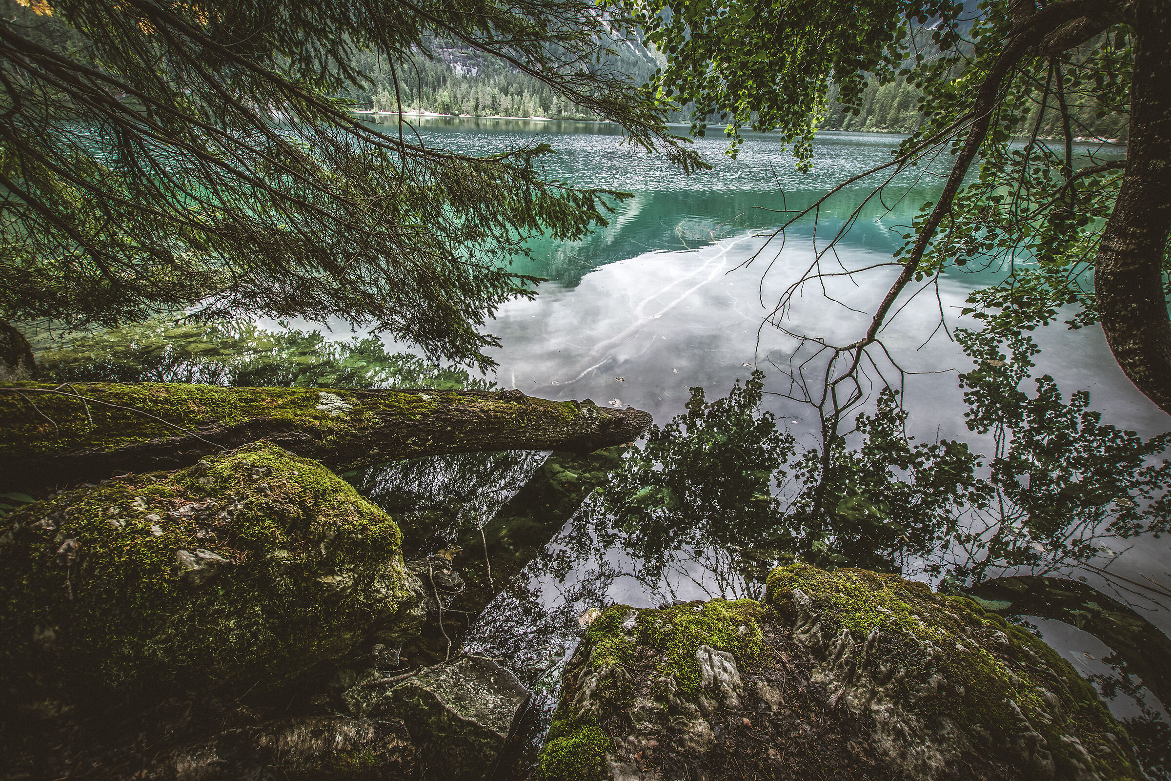 Untitled Photo