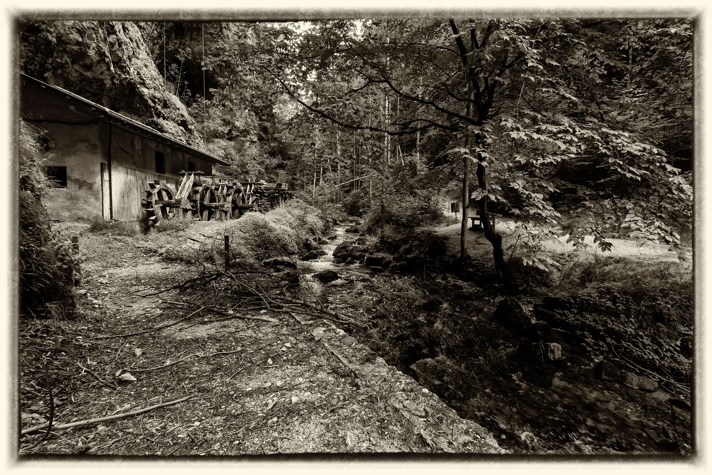 Untitled Photo