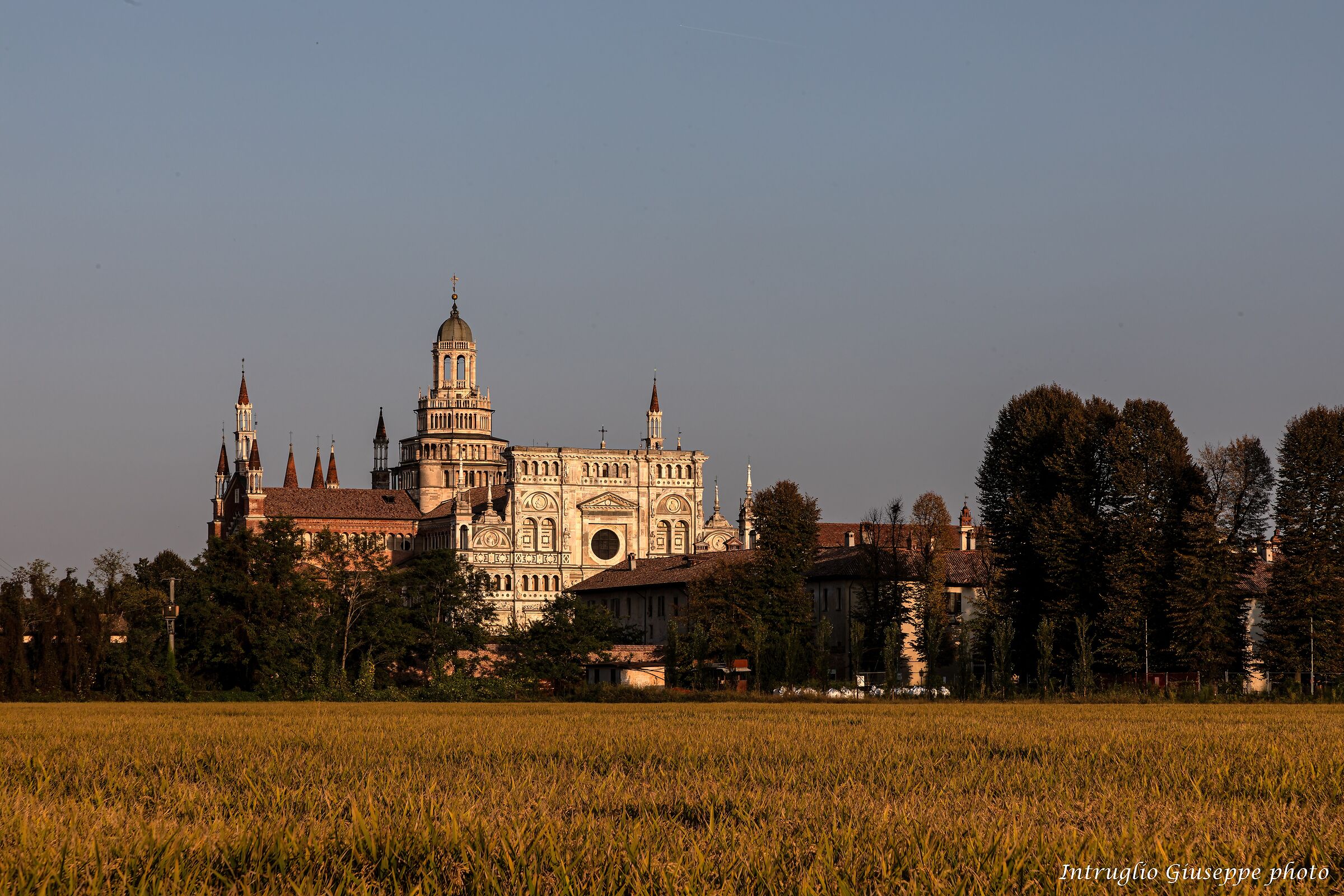 Certosa di Pavia