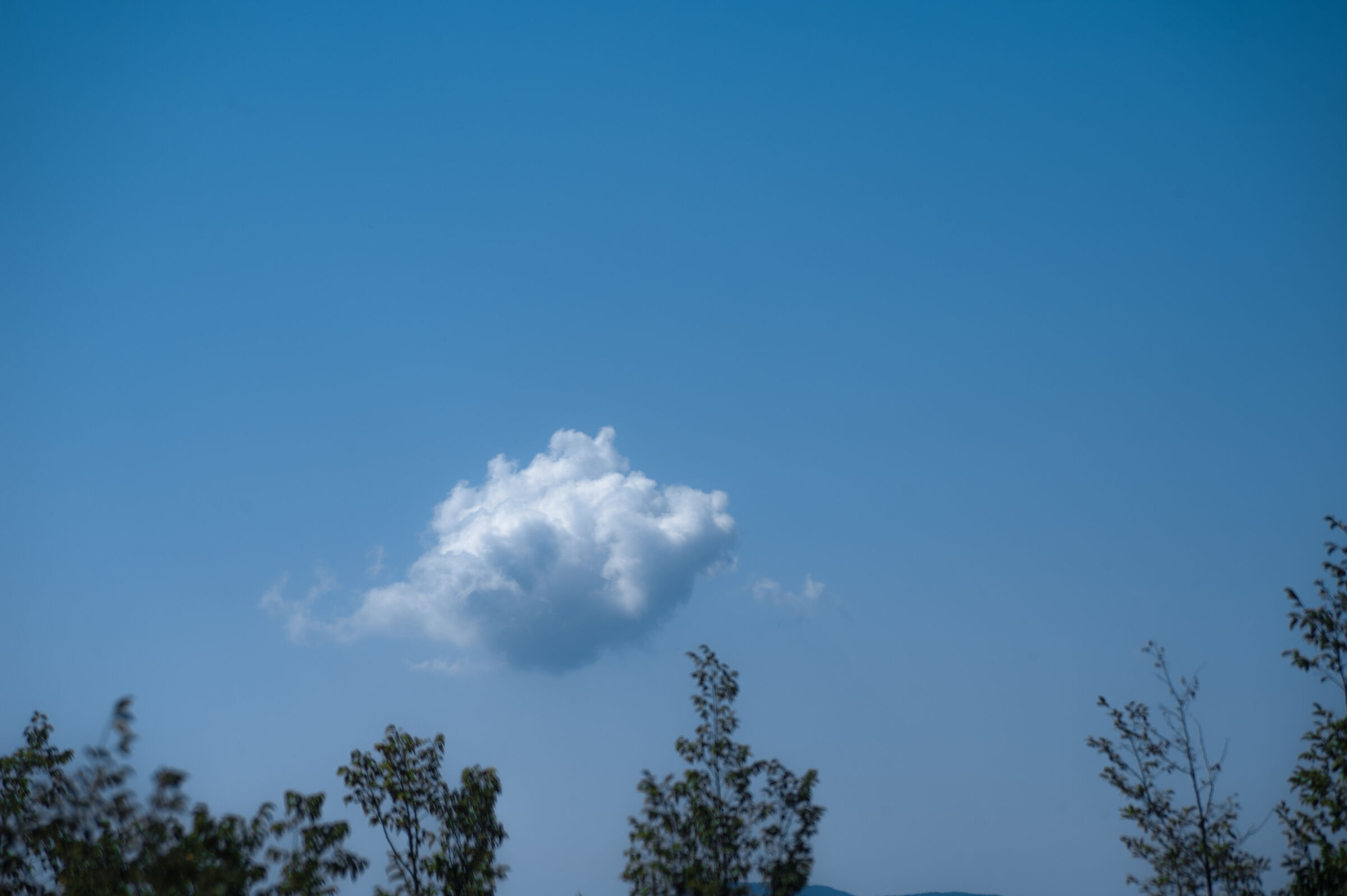 Come un pesce fuor d'acqua