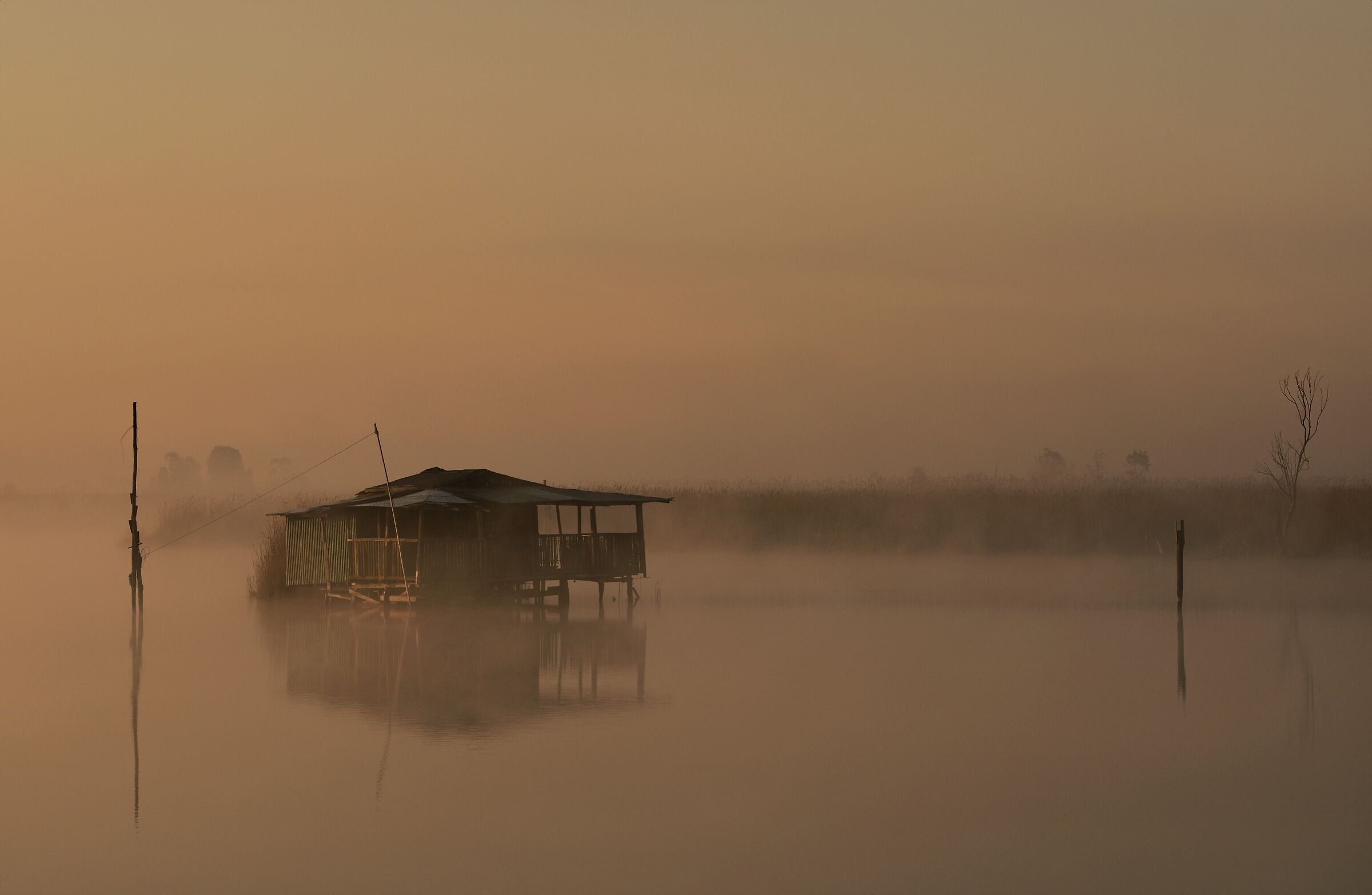 the Quiet of the Lagoon