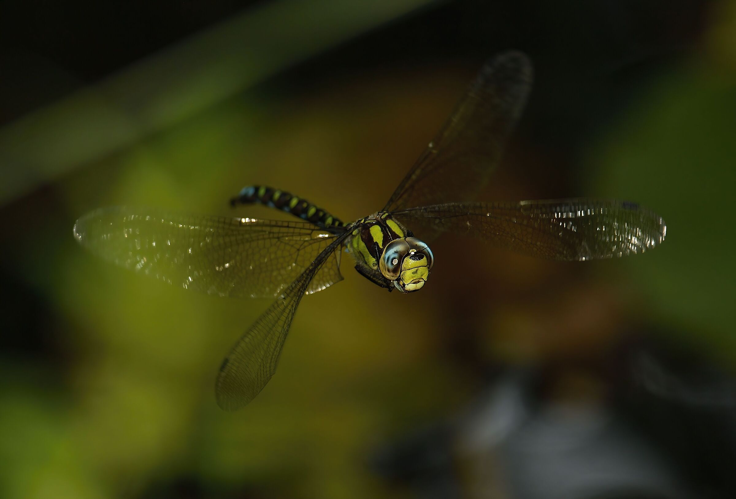 Sembra minacciosa ...