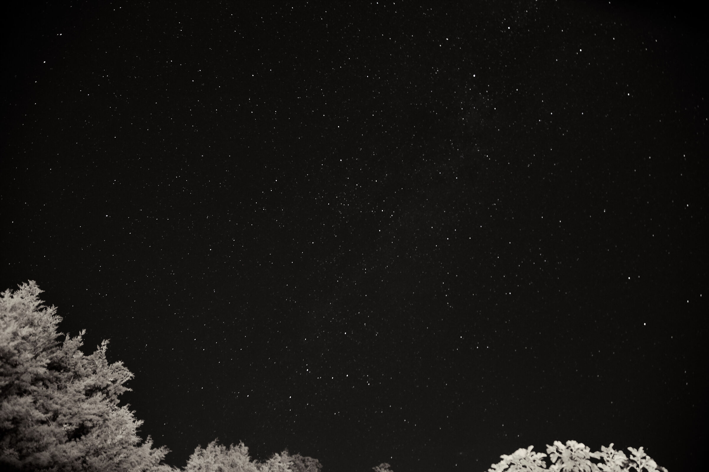 A starry sky.