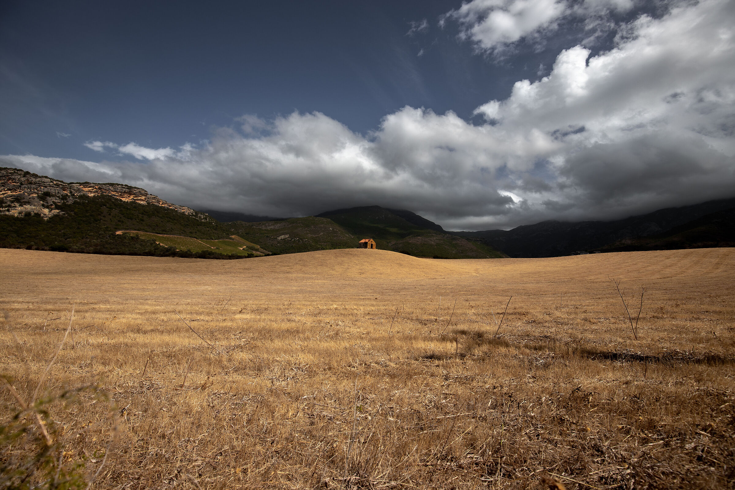 Campagna della Corsica