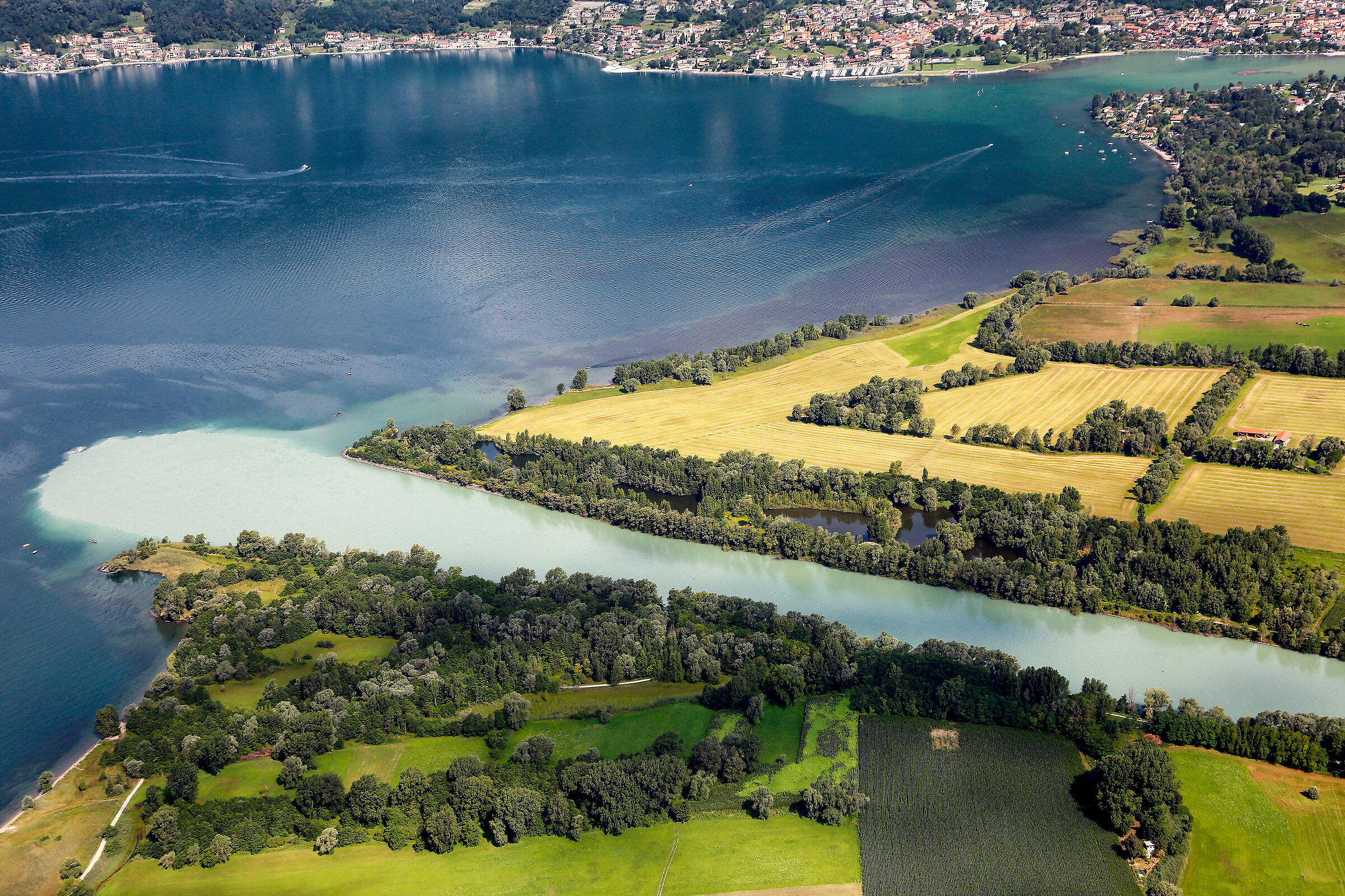 the river Adda flows into the Lario