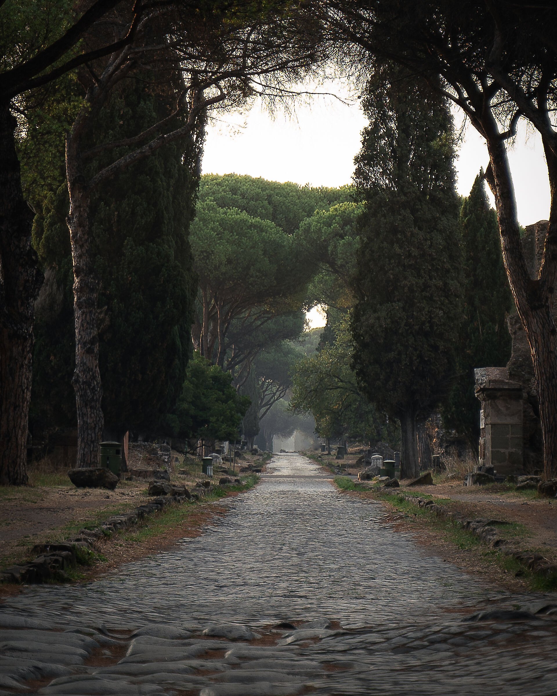 Via Appia Antica