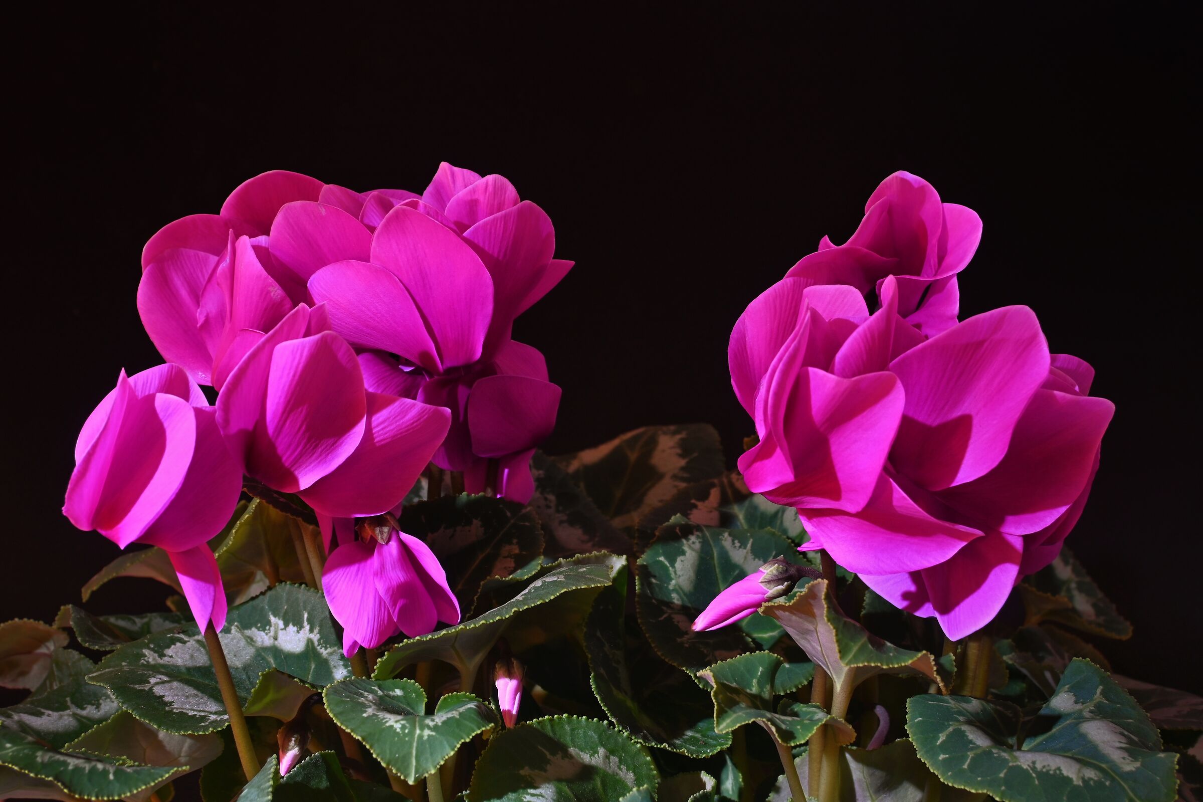 Untitled Photo