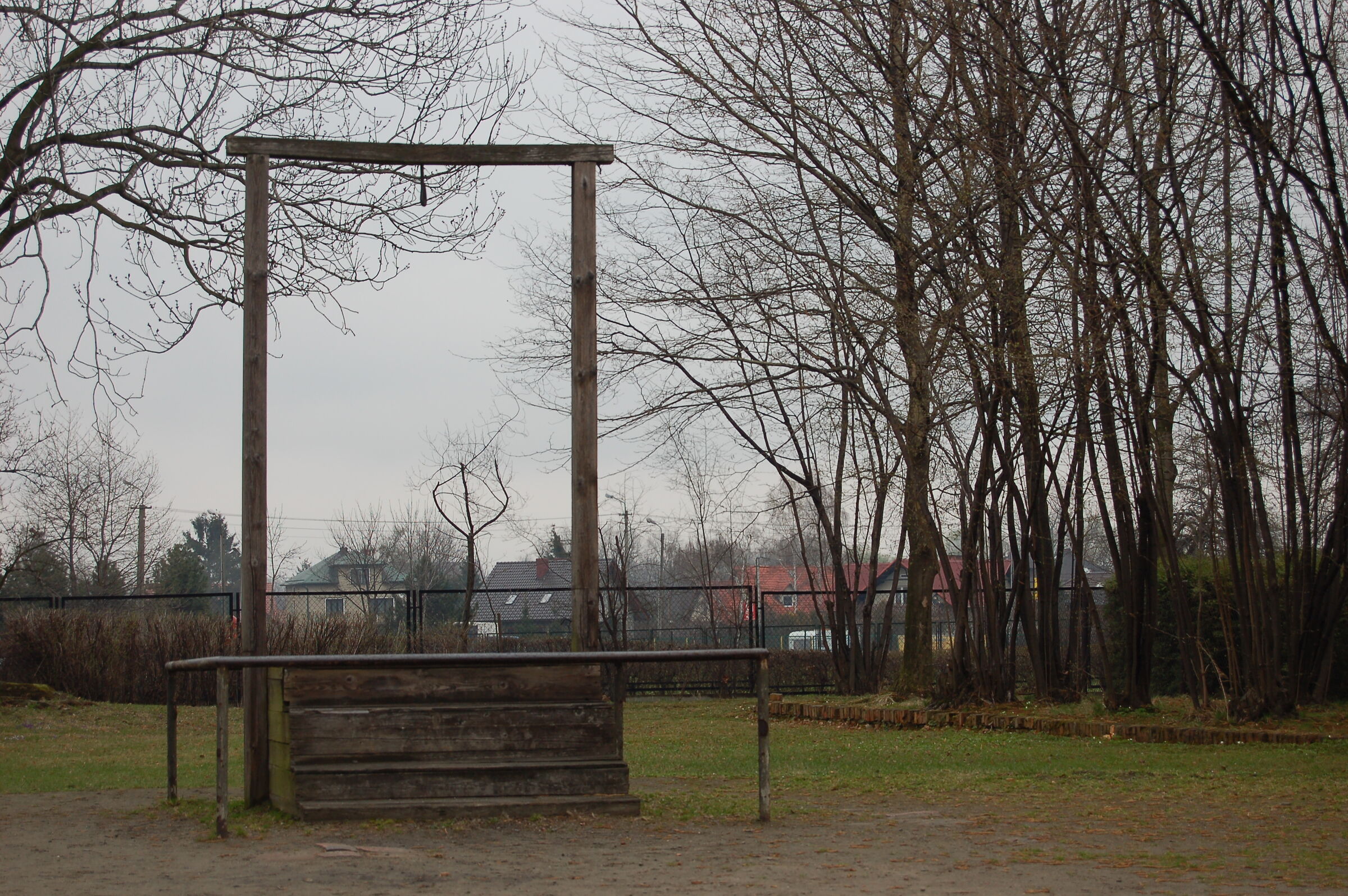 Untitled Photo