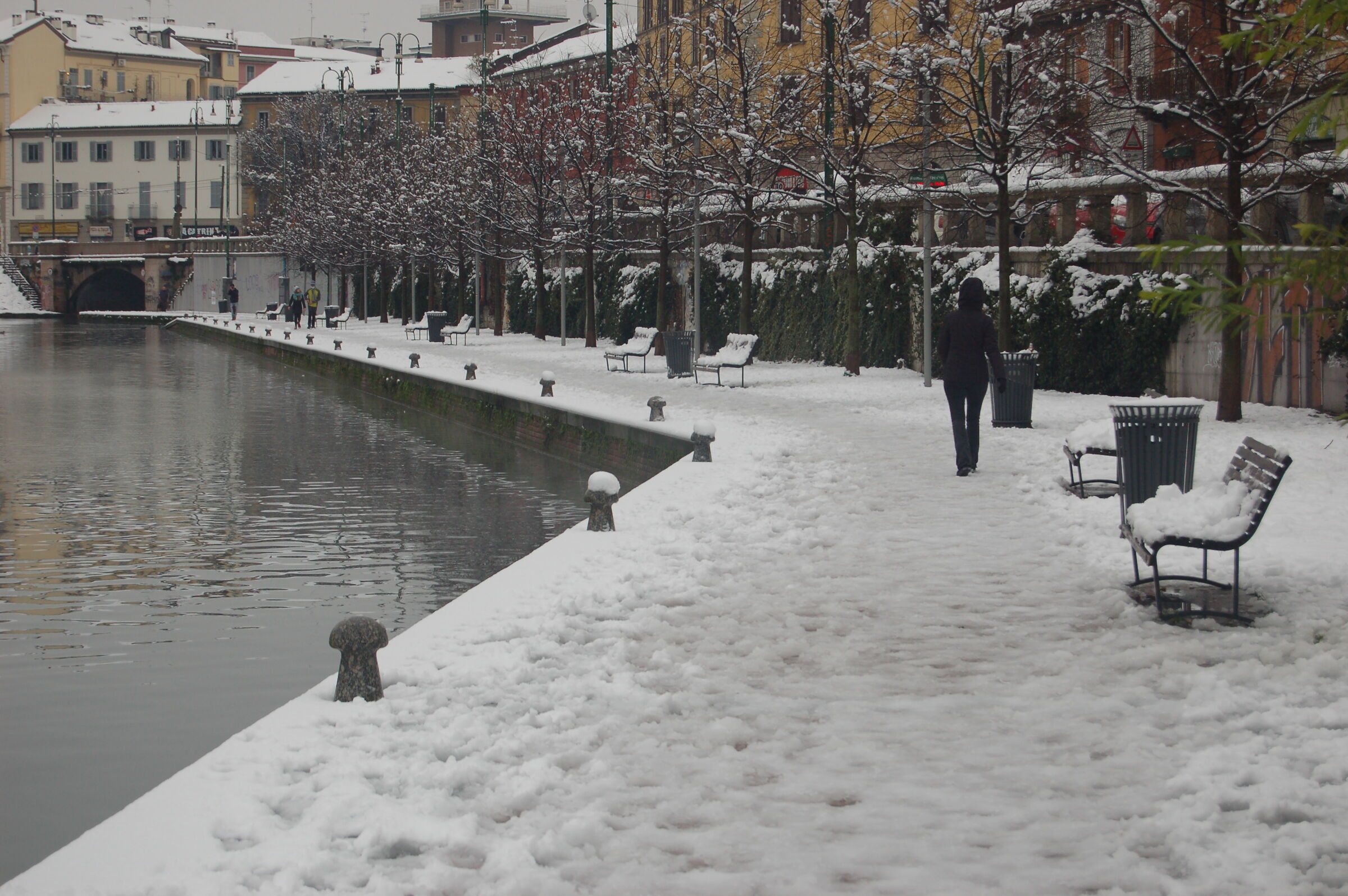 Untitled Photo