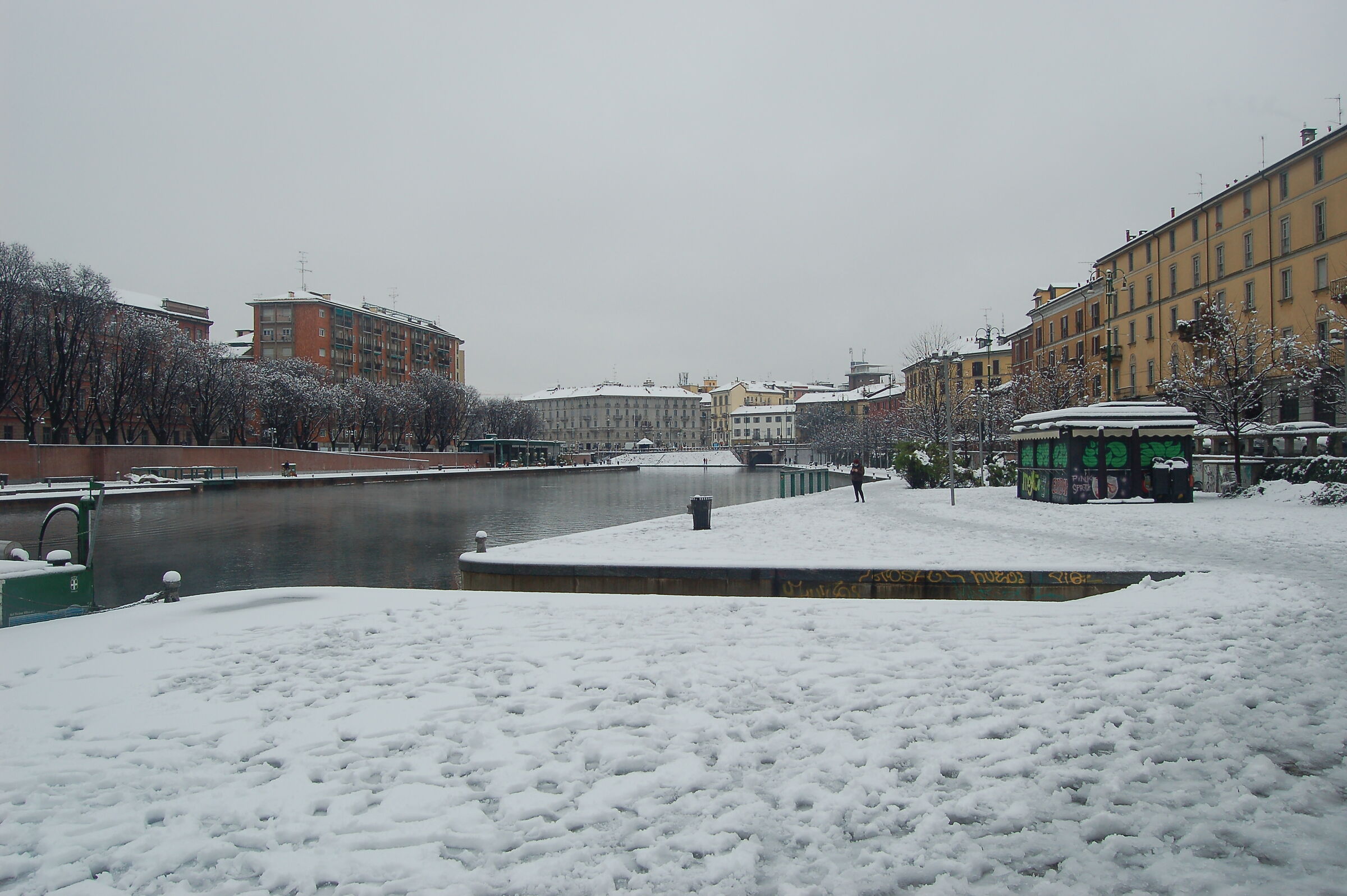 Untitled Photo