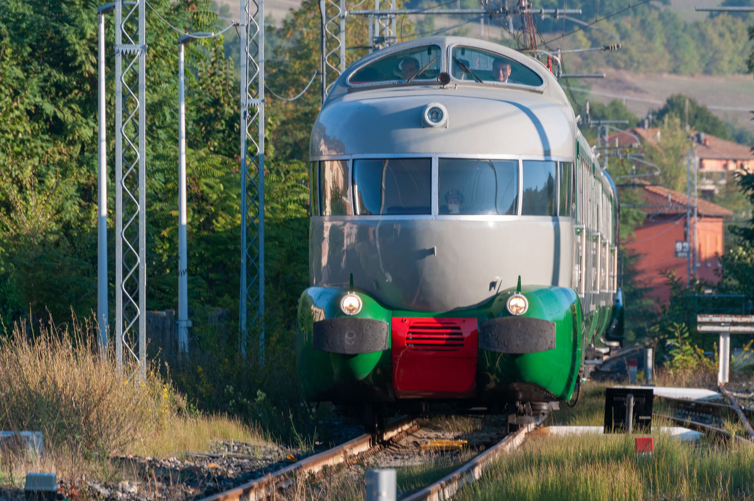 Arrival Electrotrain Harlequin