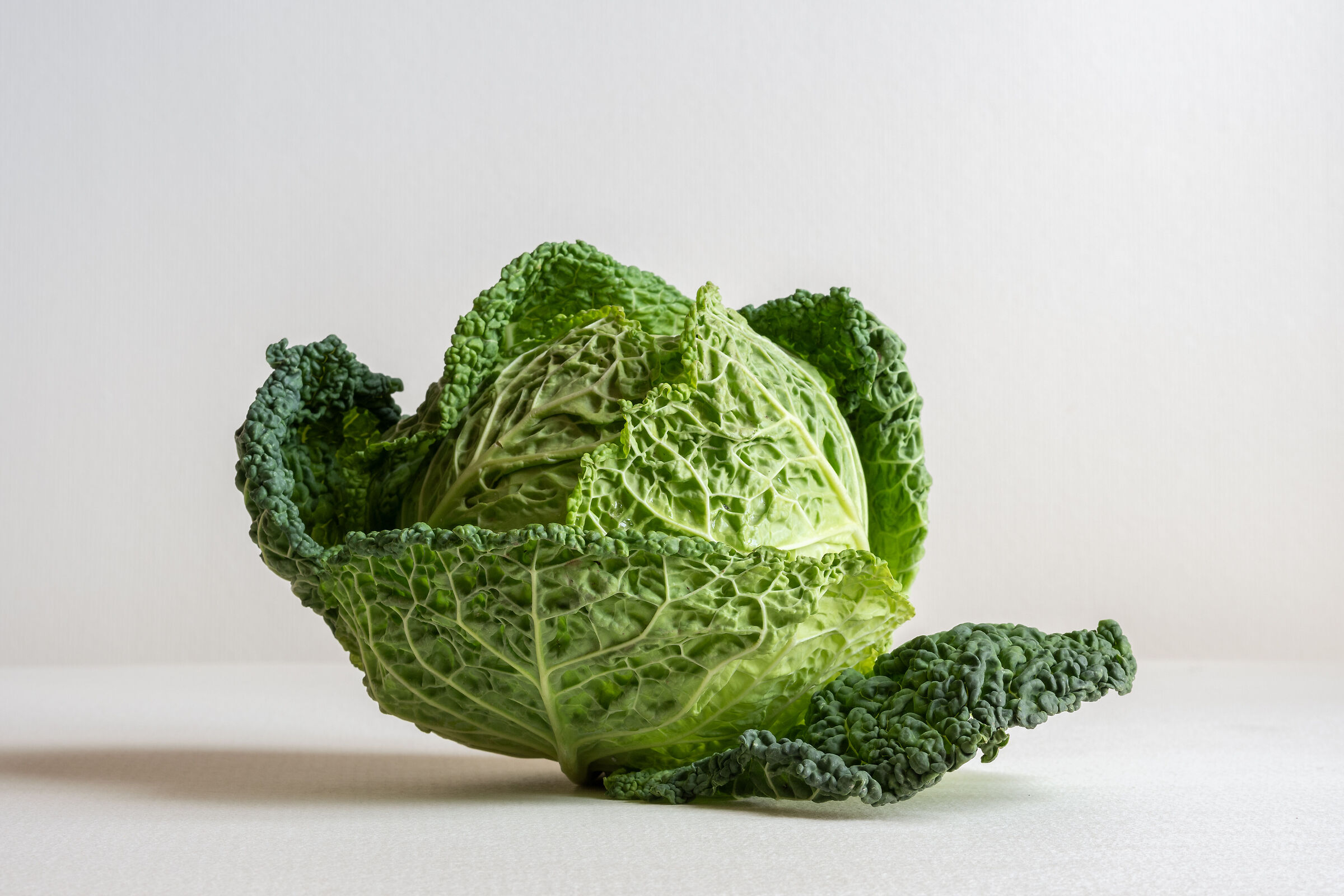 Savoy cabbage
