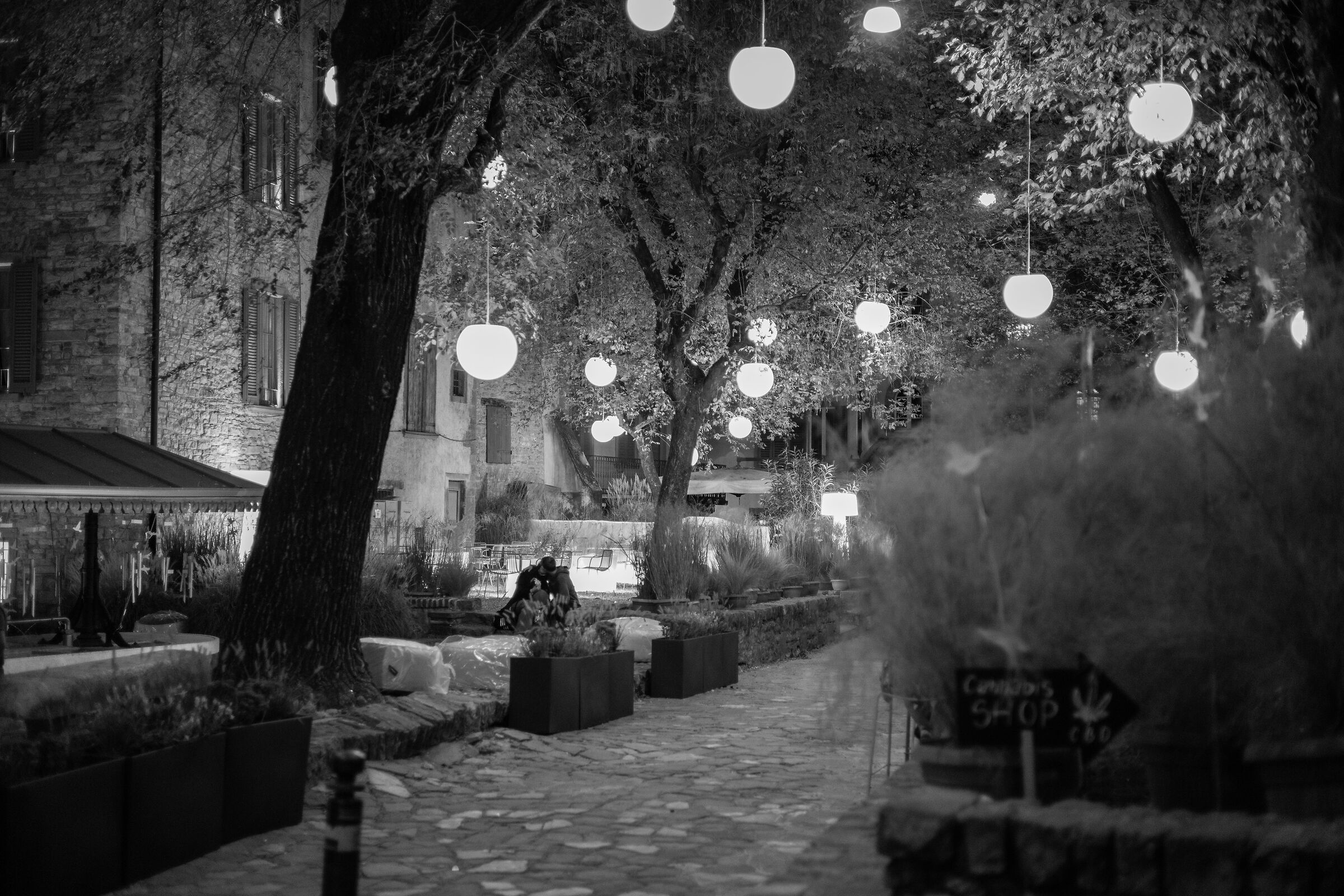 Lights and love
