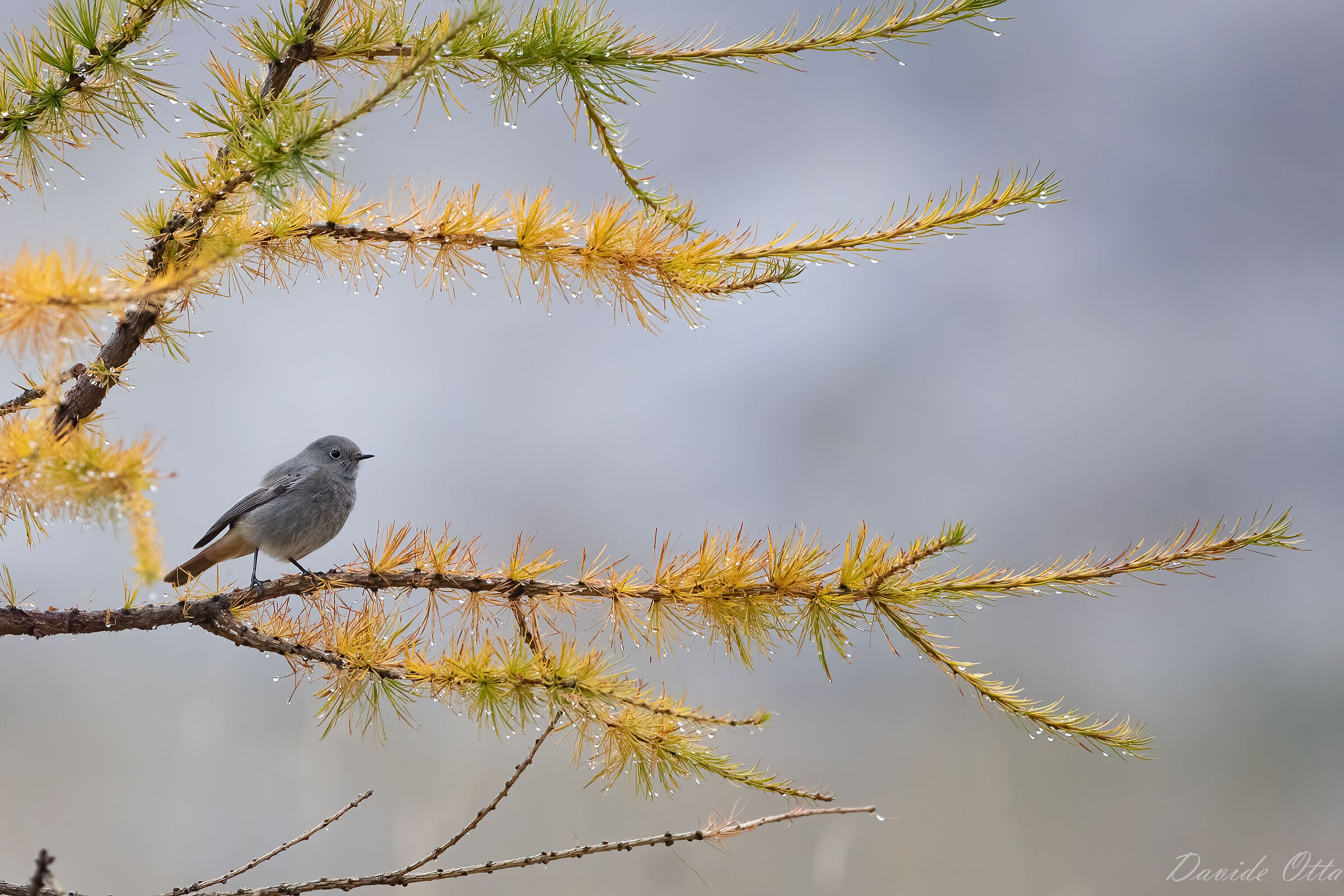 In quota ogni giorno presenta nuove sfide