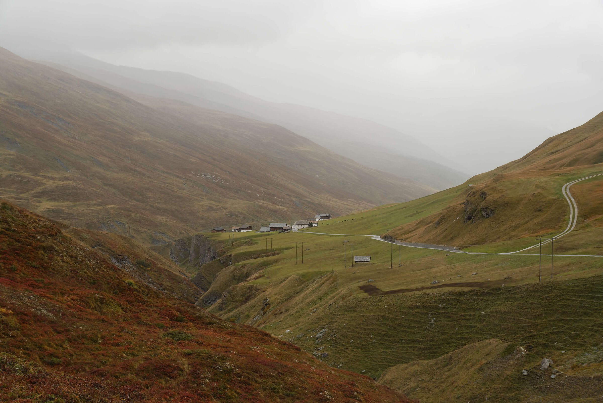autumn colors in Val Aver