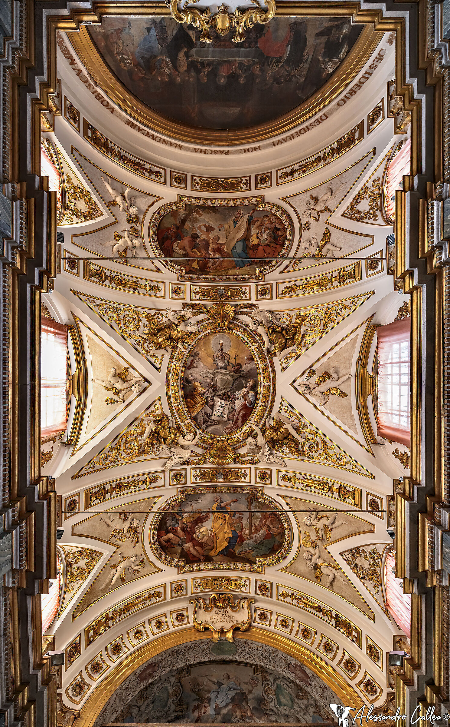 Vault of the Cathedral of S. Rufino