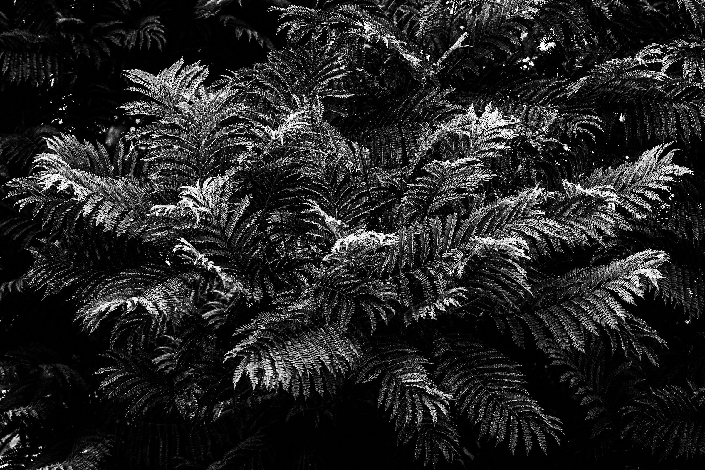 Untitled Photo