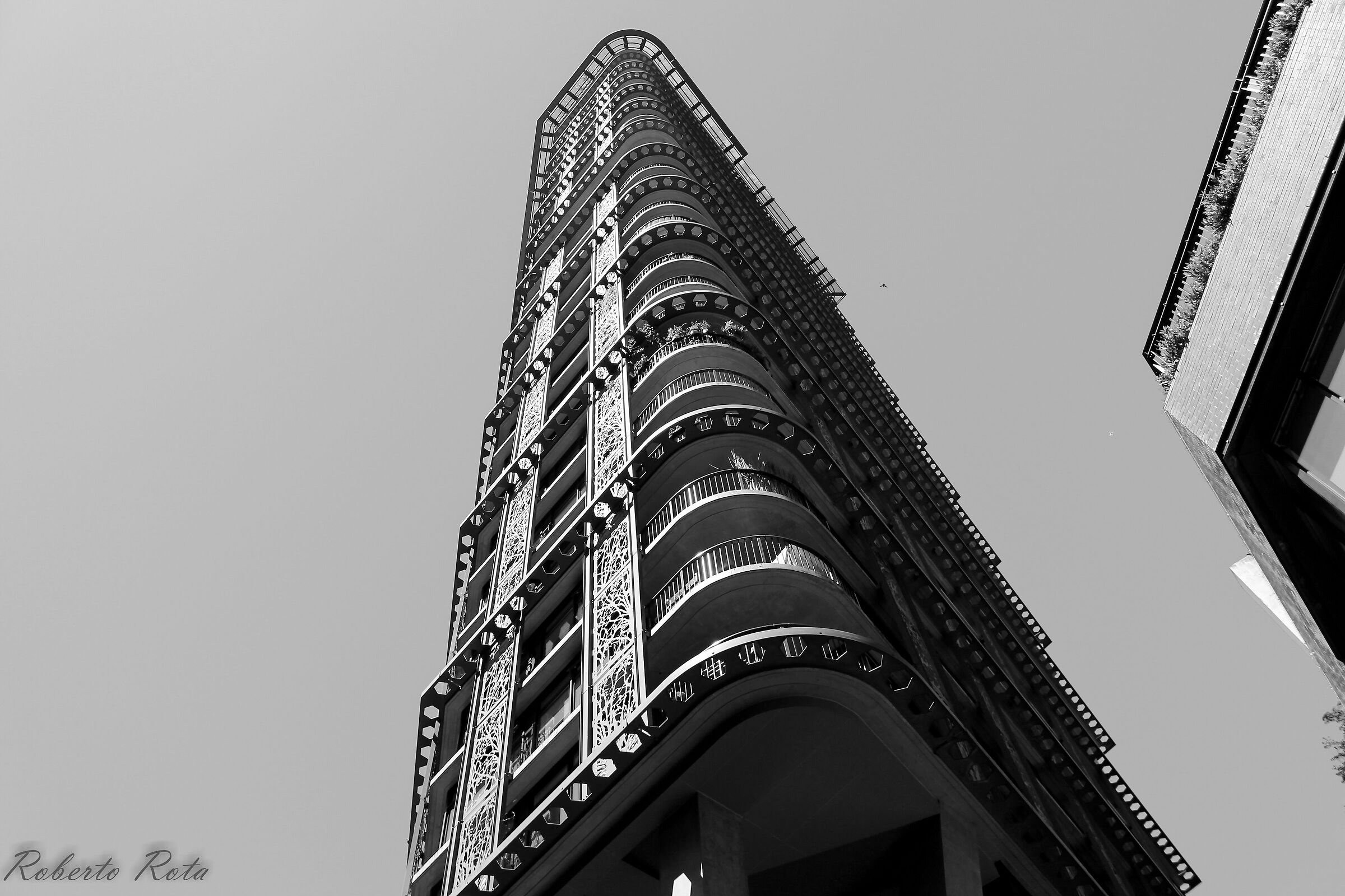 Untitled Photo
