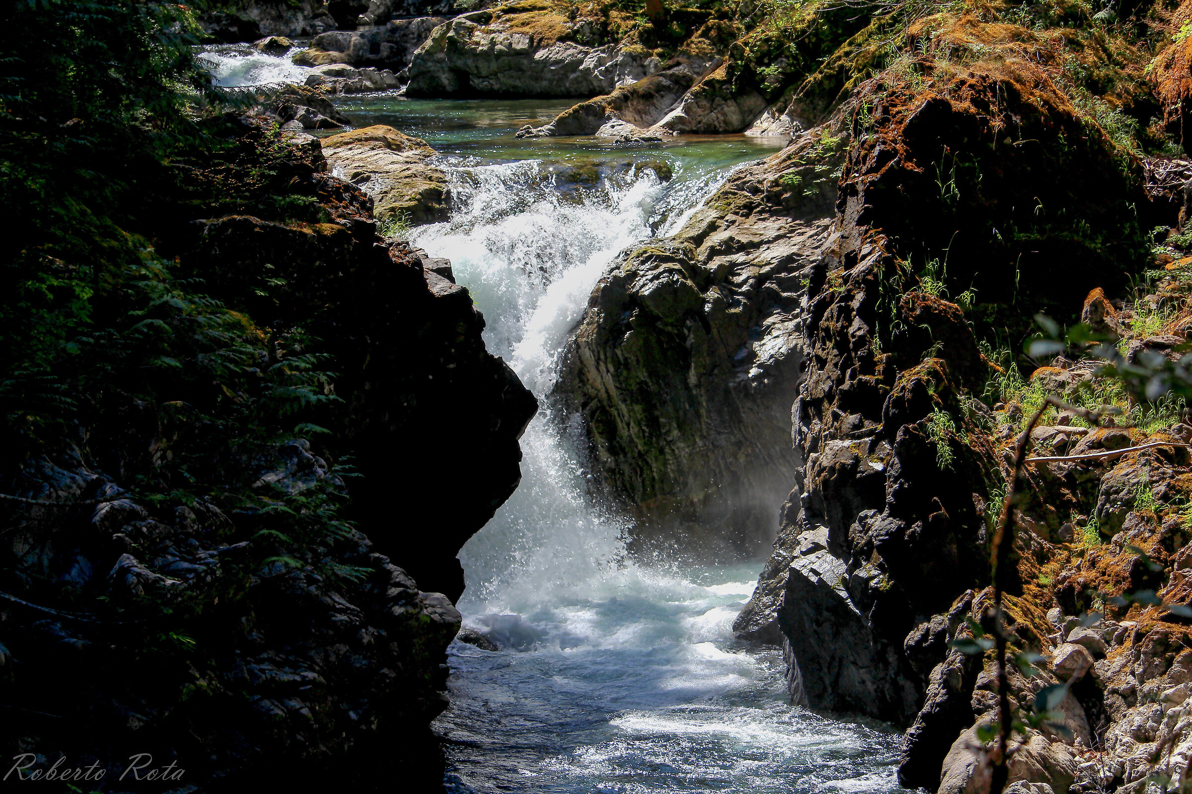 Untitled Photo