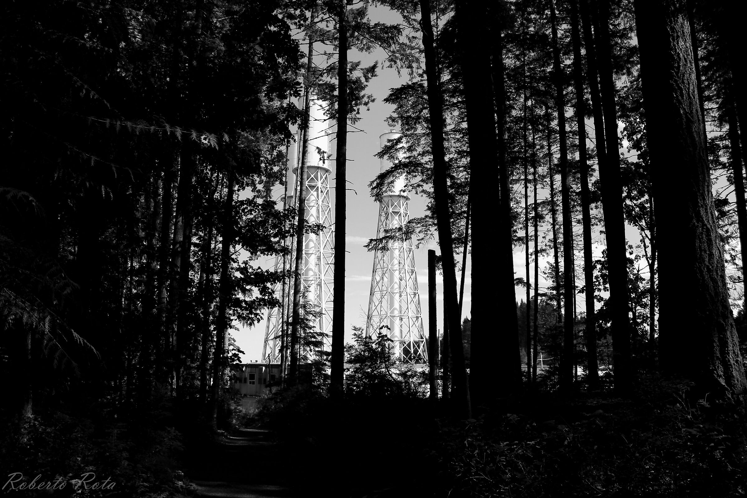 Verticalisms: Man and nature