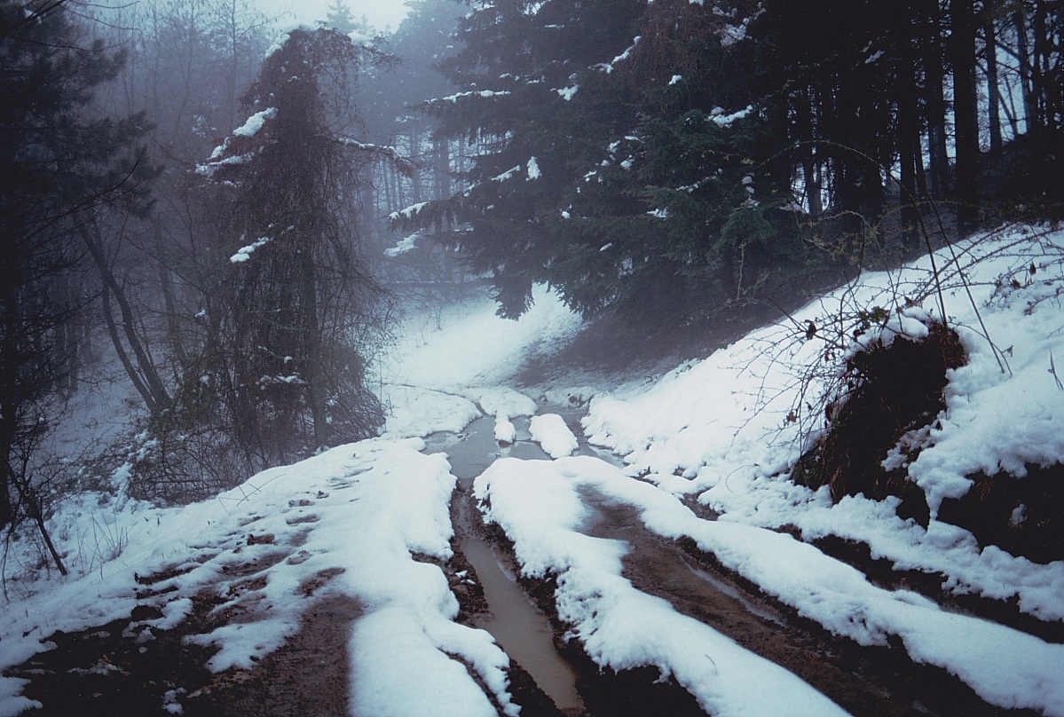 Appennino Toscoromagnolo 1990