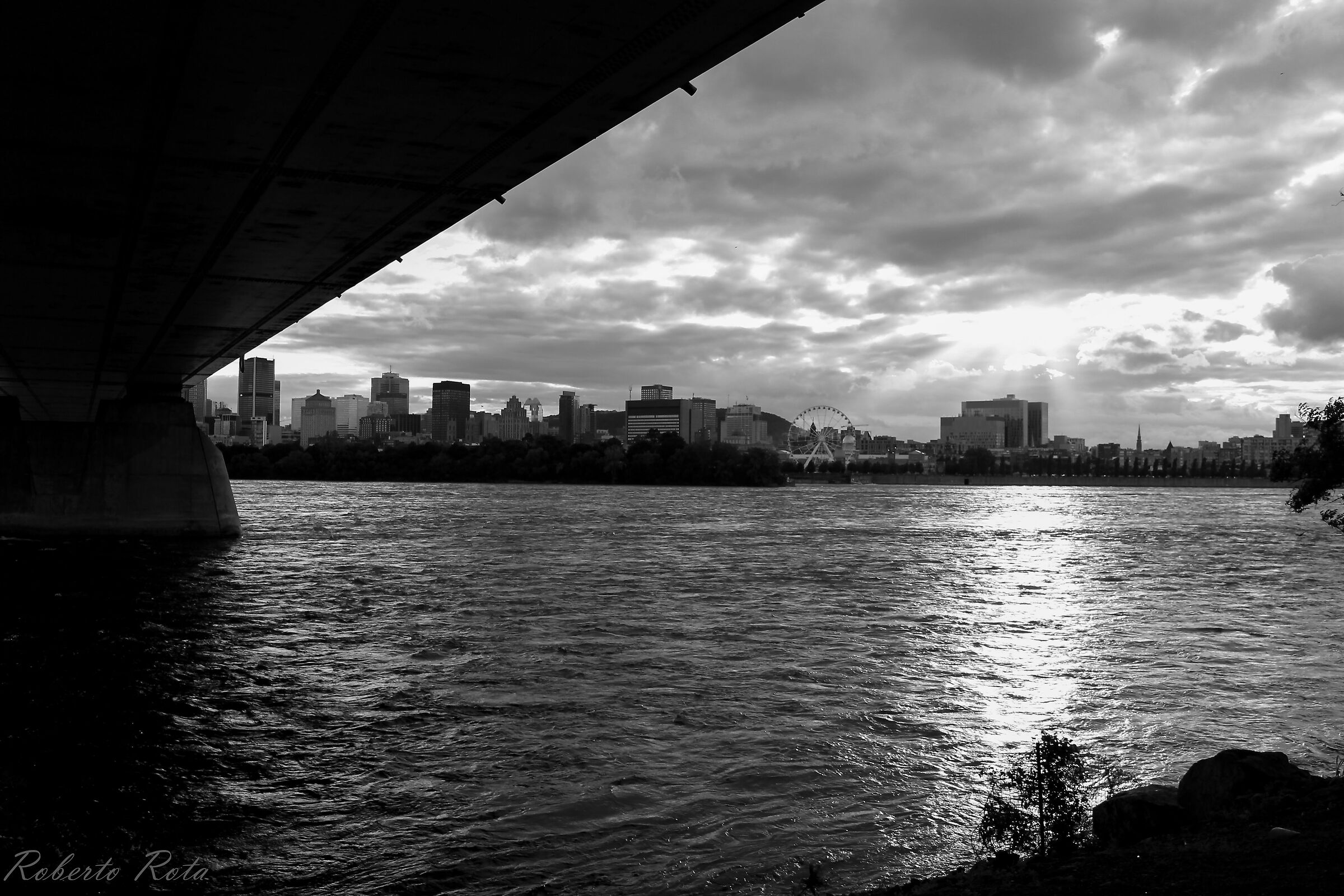 Untitled Photo