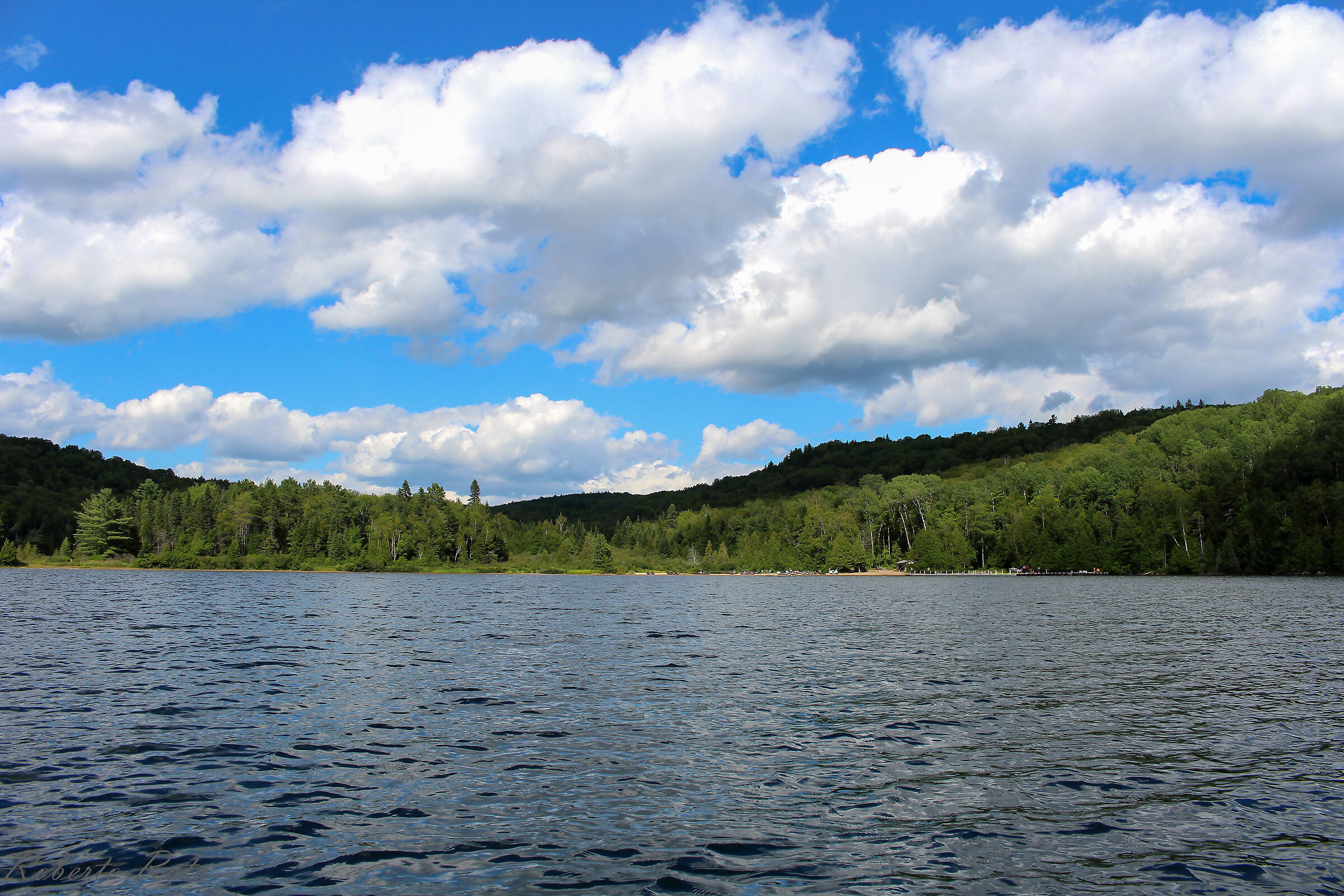 Untitled Photo