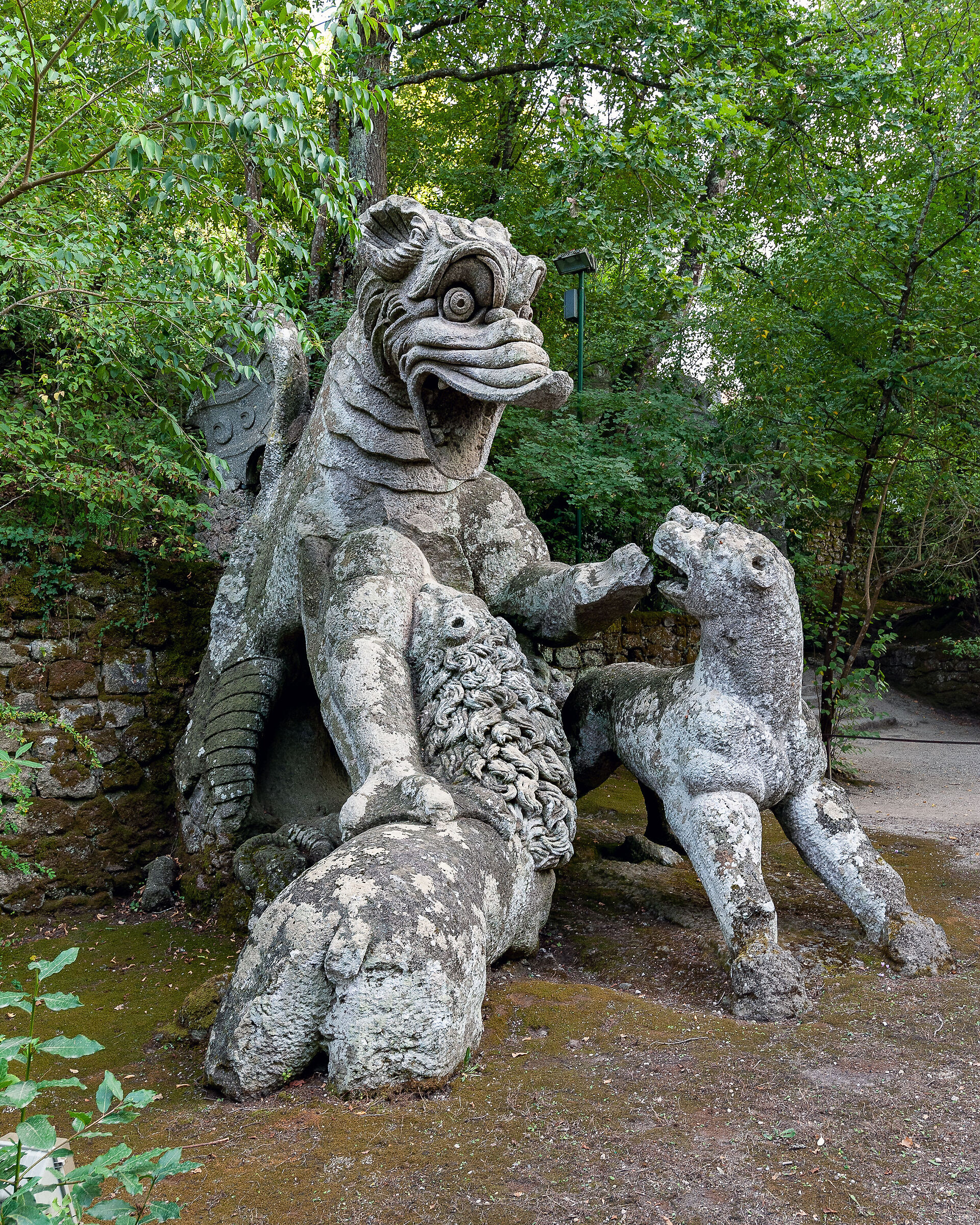 The Dragon