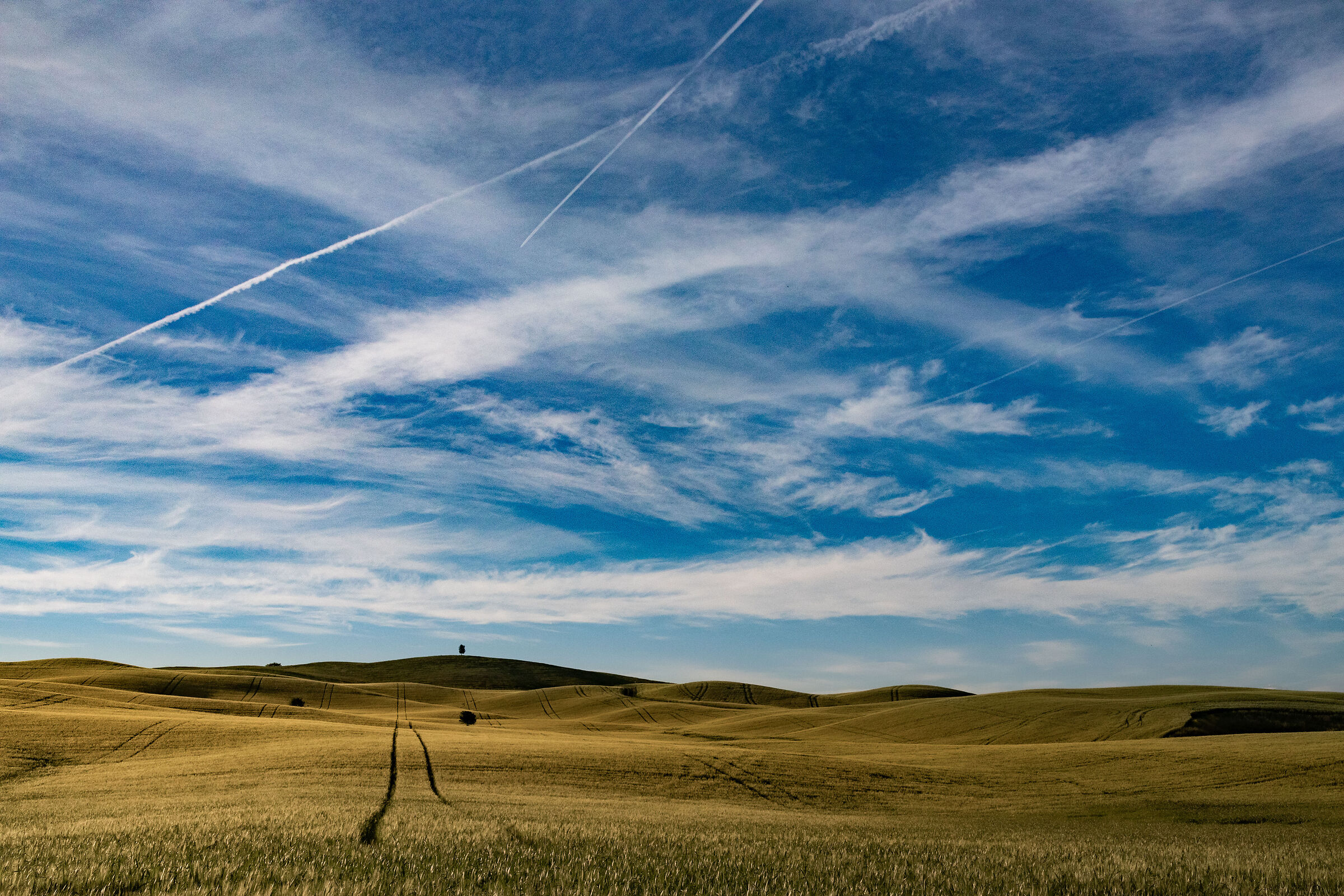 Tuscan landscape
