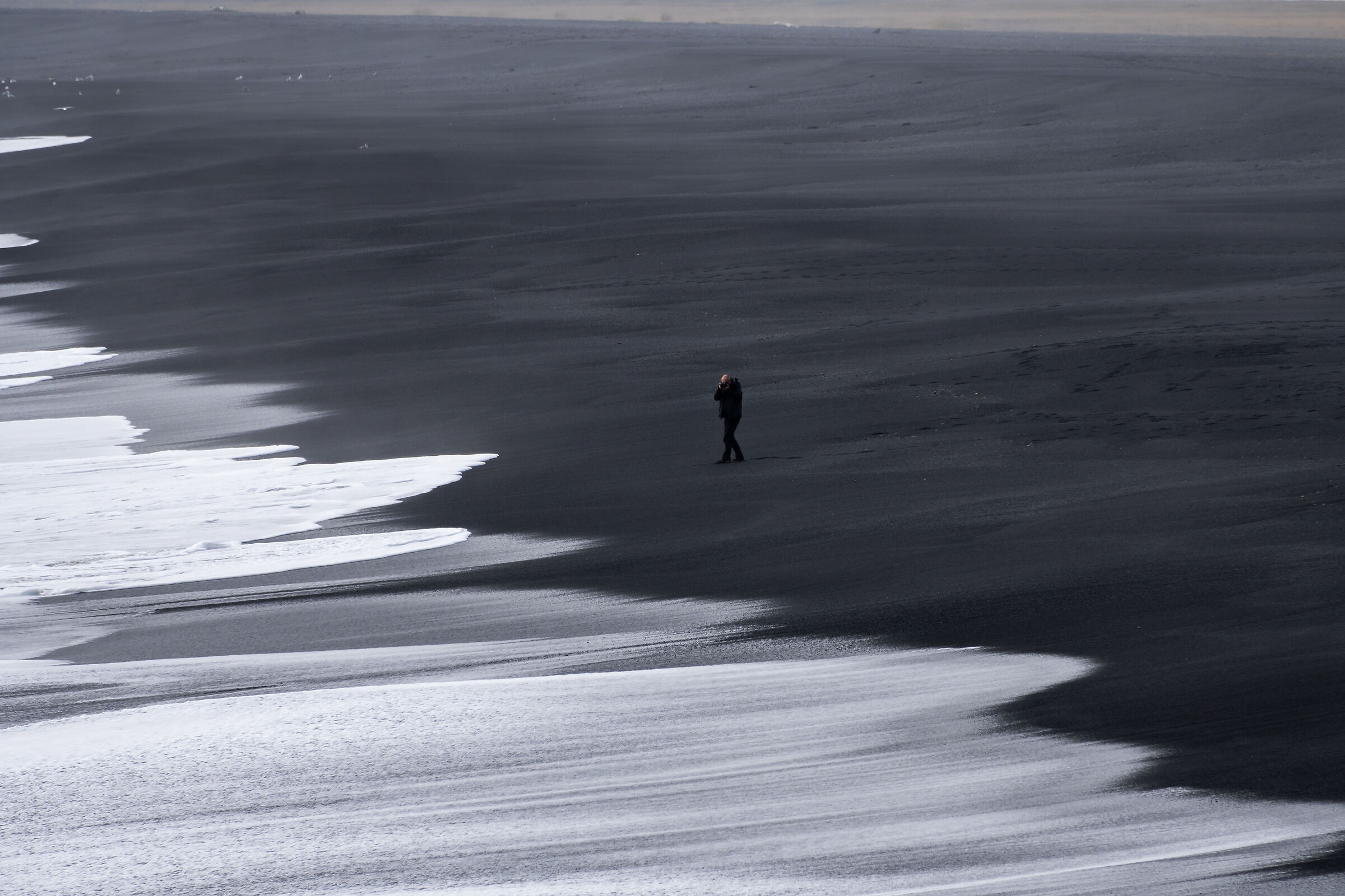 il viaggio