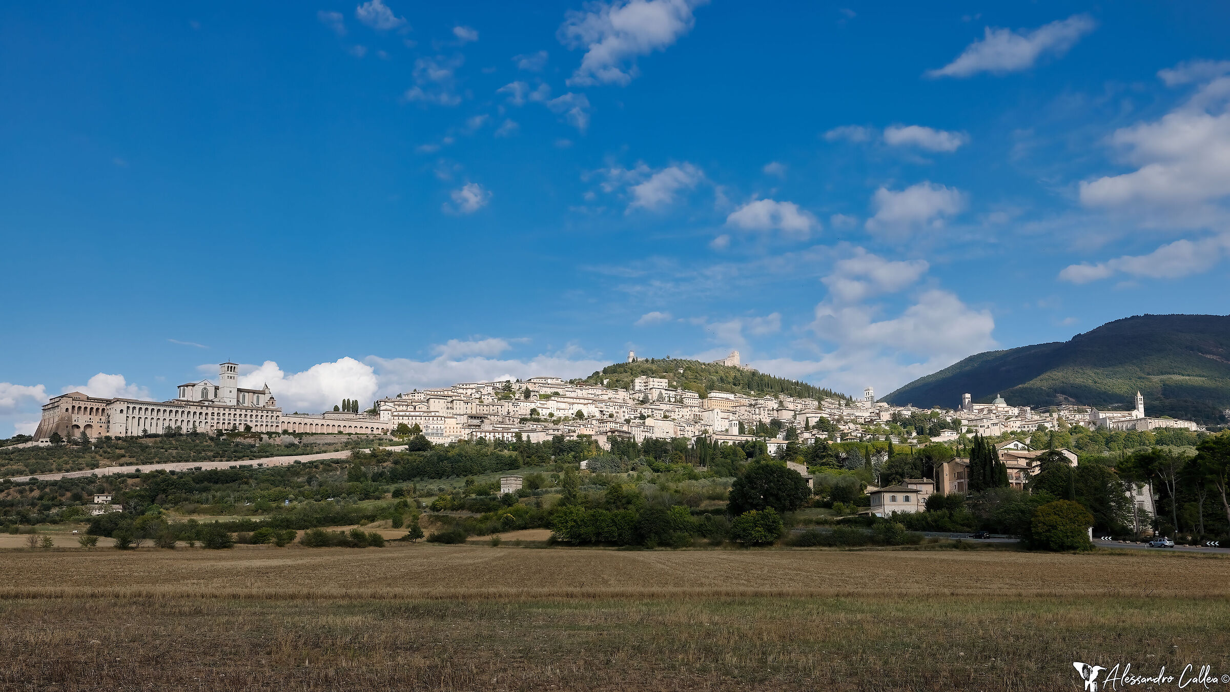 Assisi
