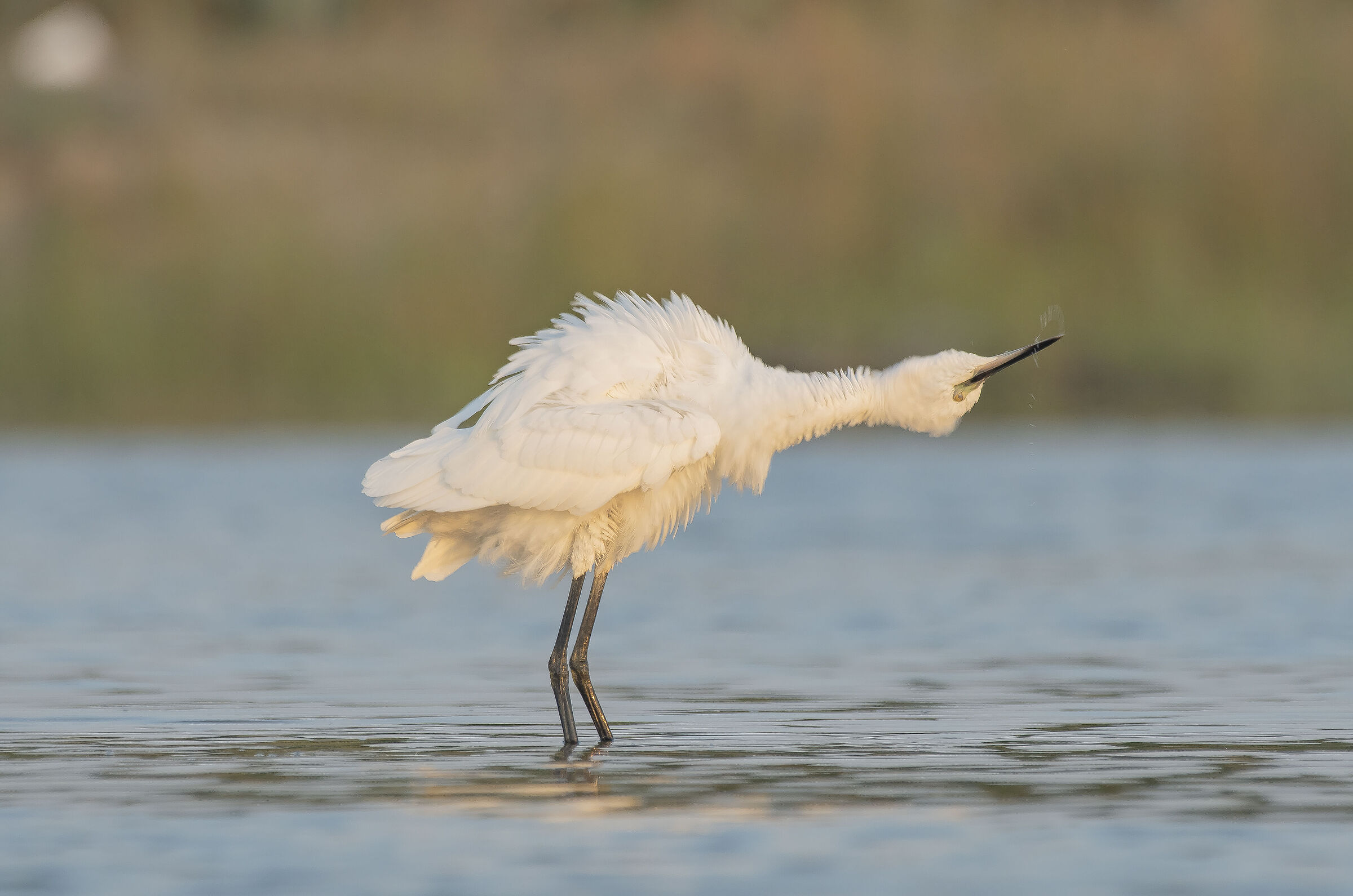 You make me turn, you make me turn like A doll