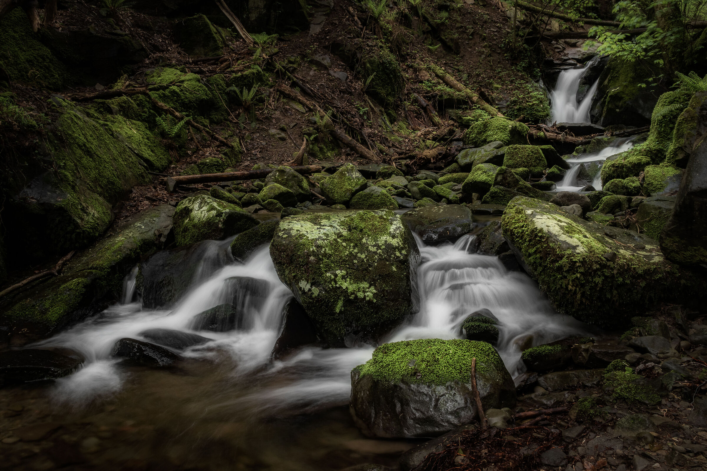 Vallombrosa III