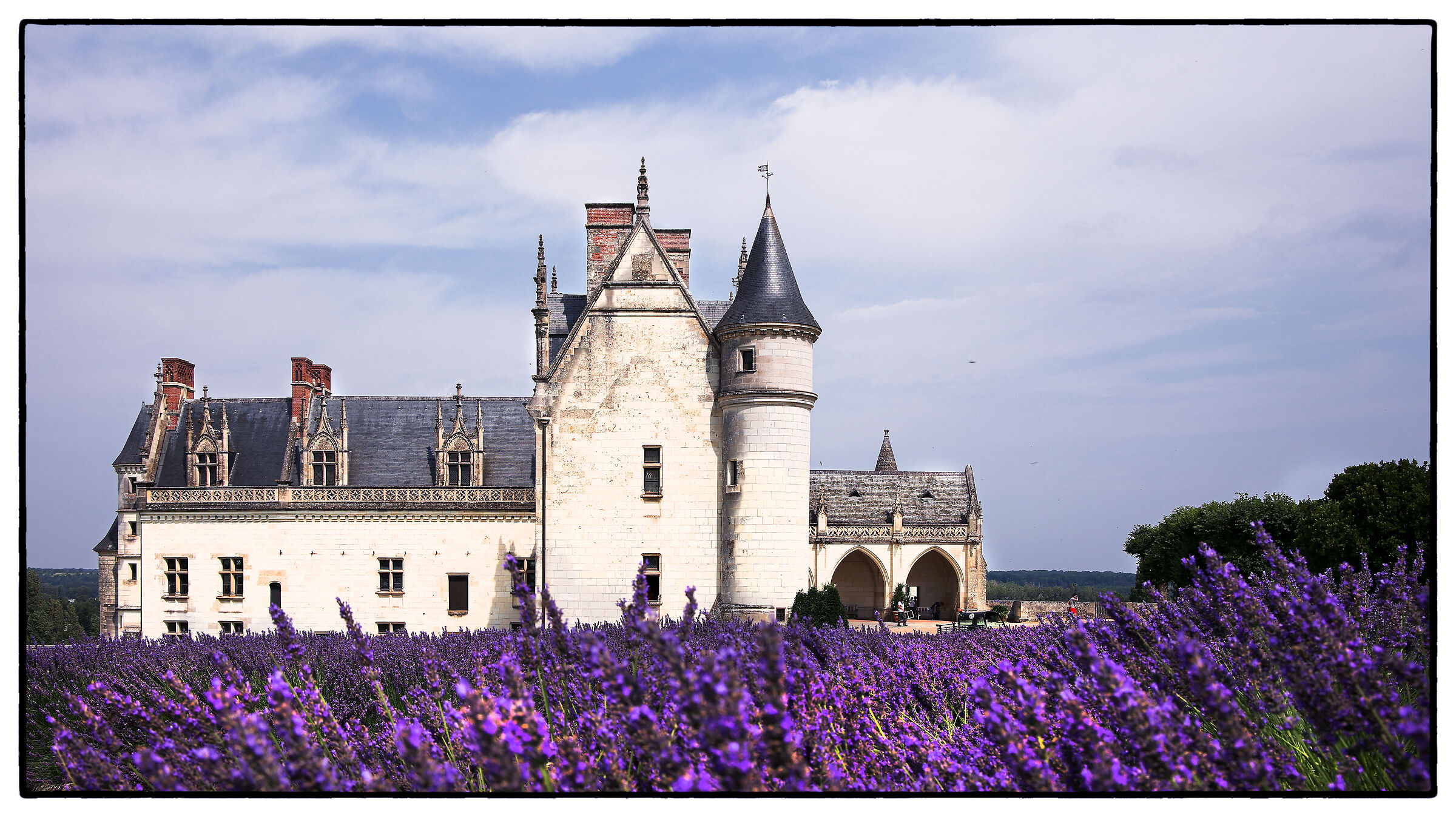 castello di amboise