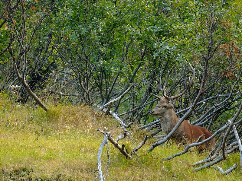 Una piccola pausa...