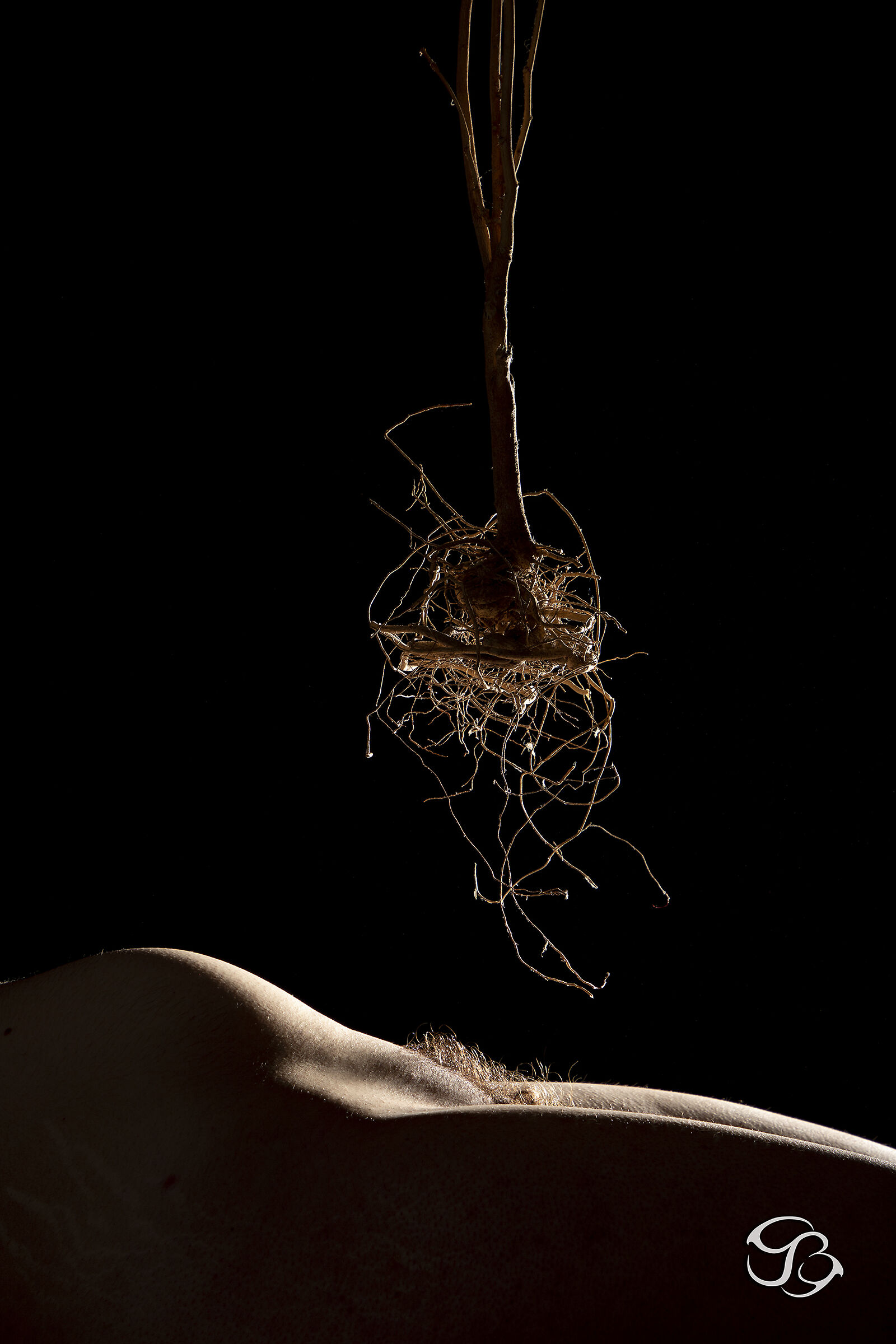 L'origine della vita